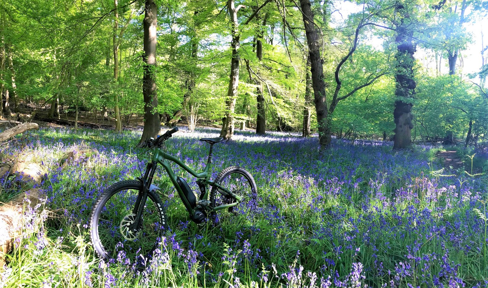 spring-mtb-jpg.30610