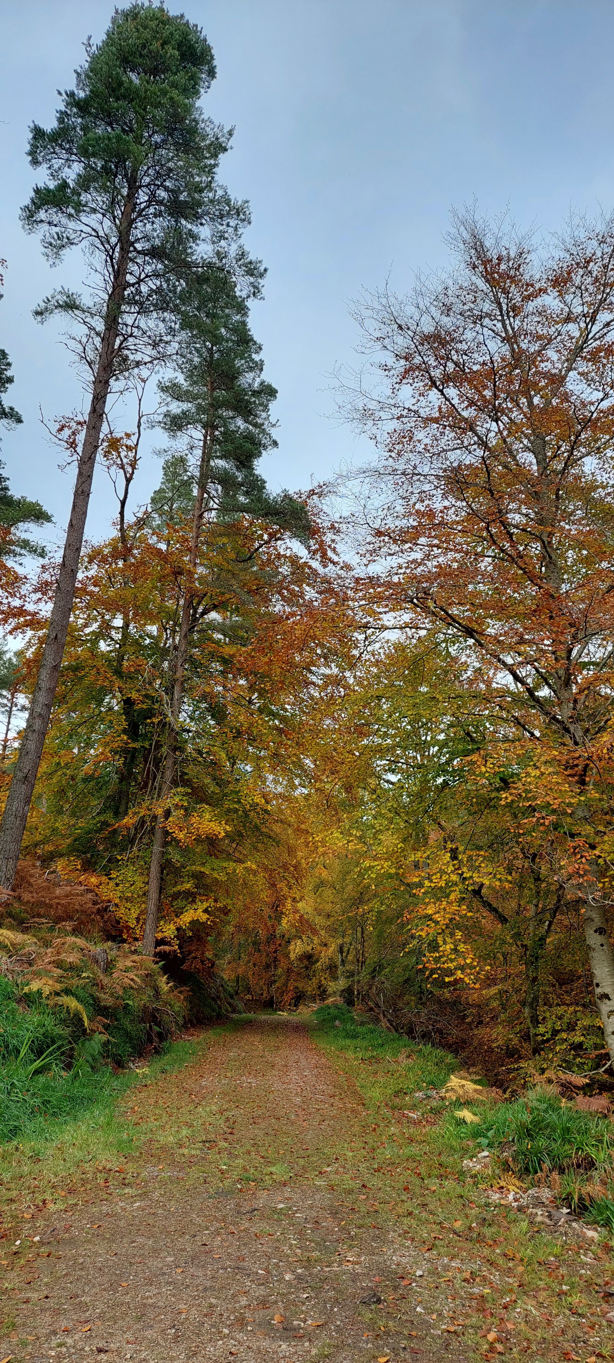20221025_141441.jpg