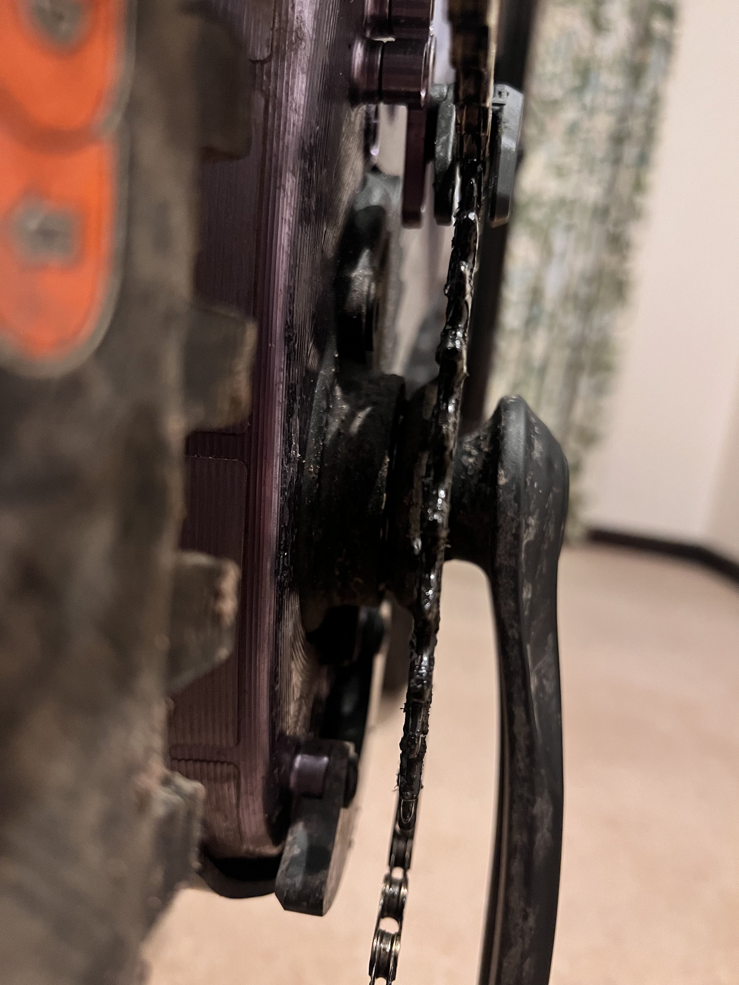 DE102908-C0DD-423D-A679-FFCC1F6F2E5D.jpeg DE102908-C0DD-423D-A679-FFCC1F6F2E5D.jpeg