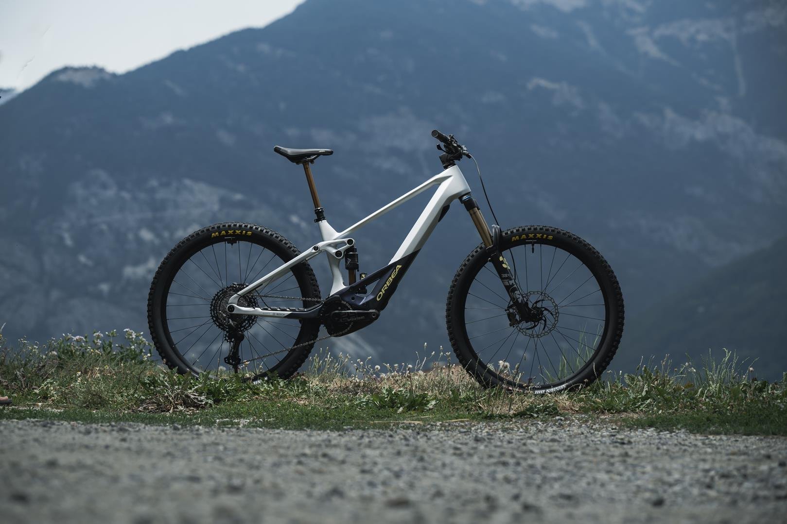 orbea-wild-2023-12.jpg