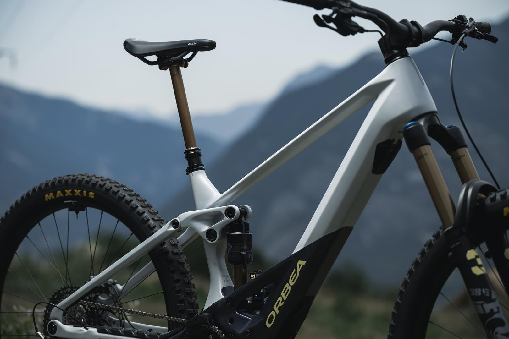 orbea-wild-2023-7.jpg
