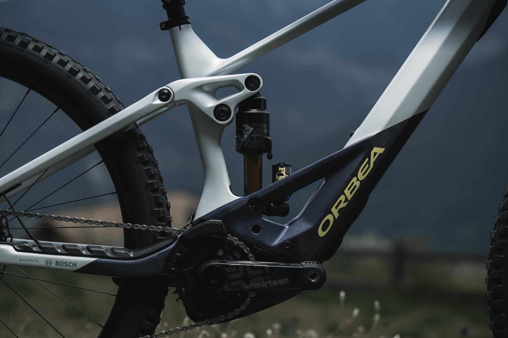 orbea-wild-2023-9.jpg