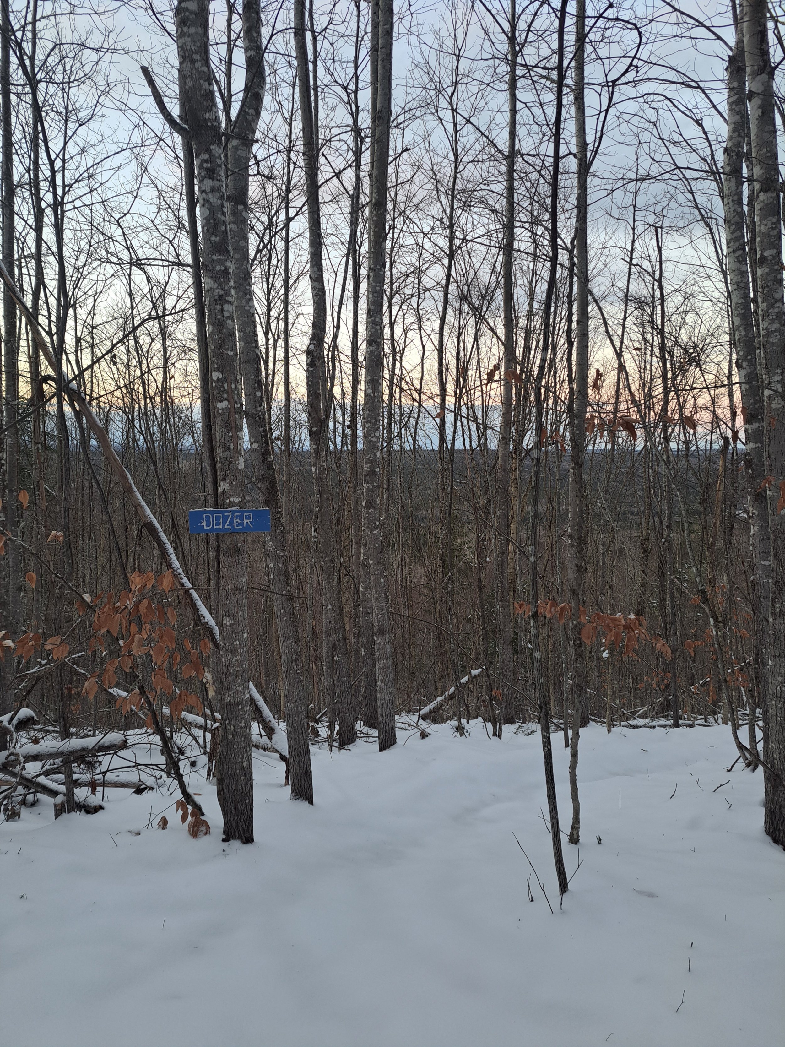 20221118_164946.jpg