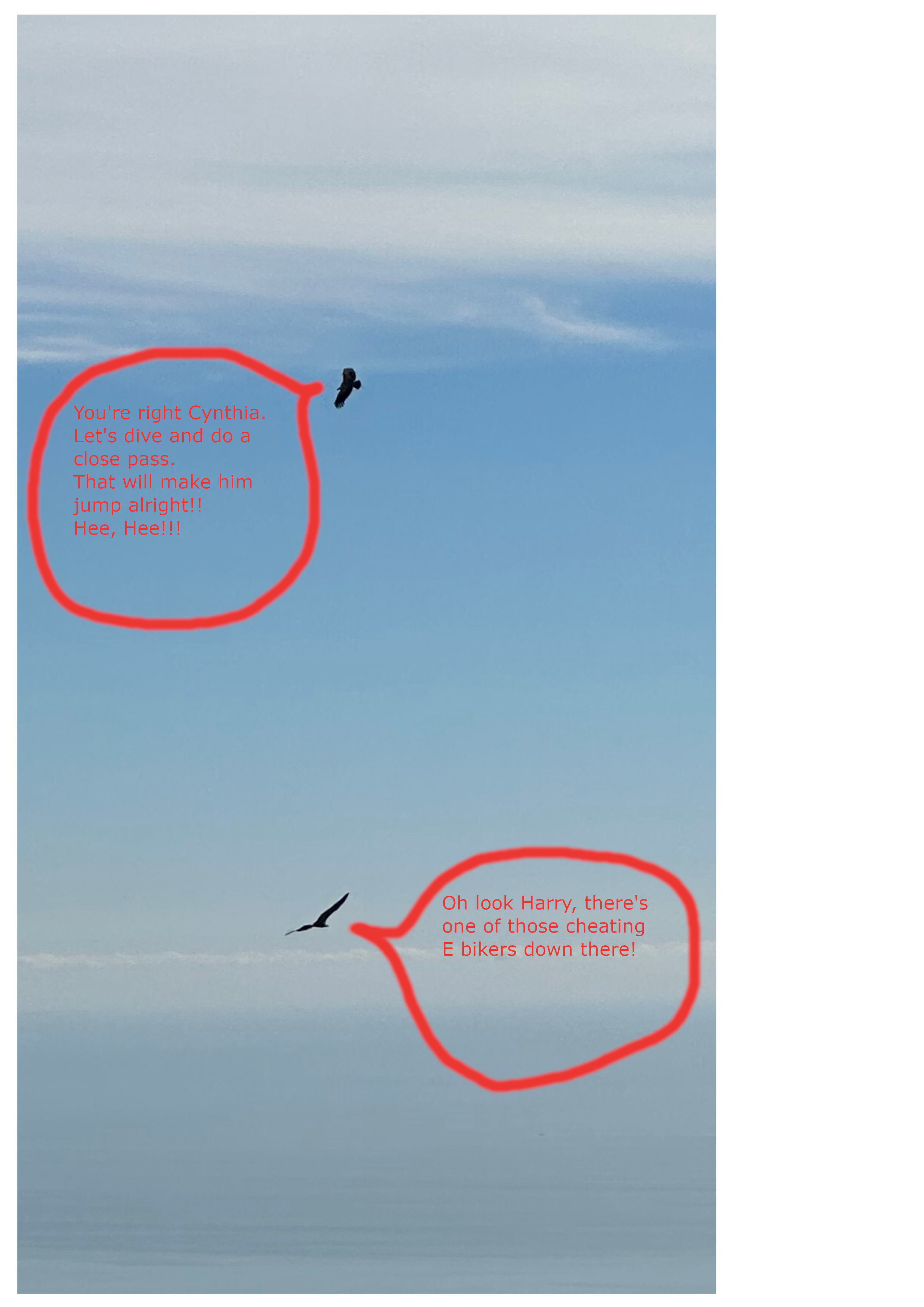 vultures.png