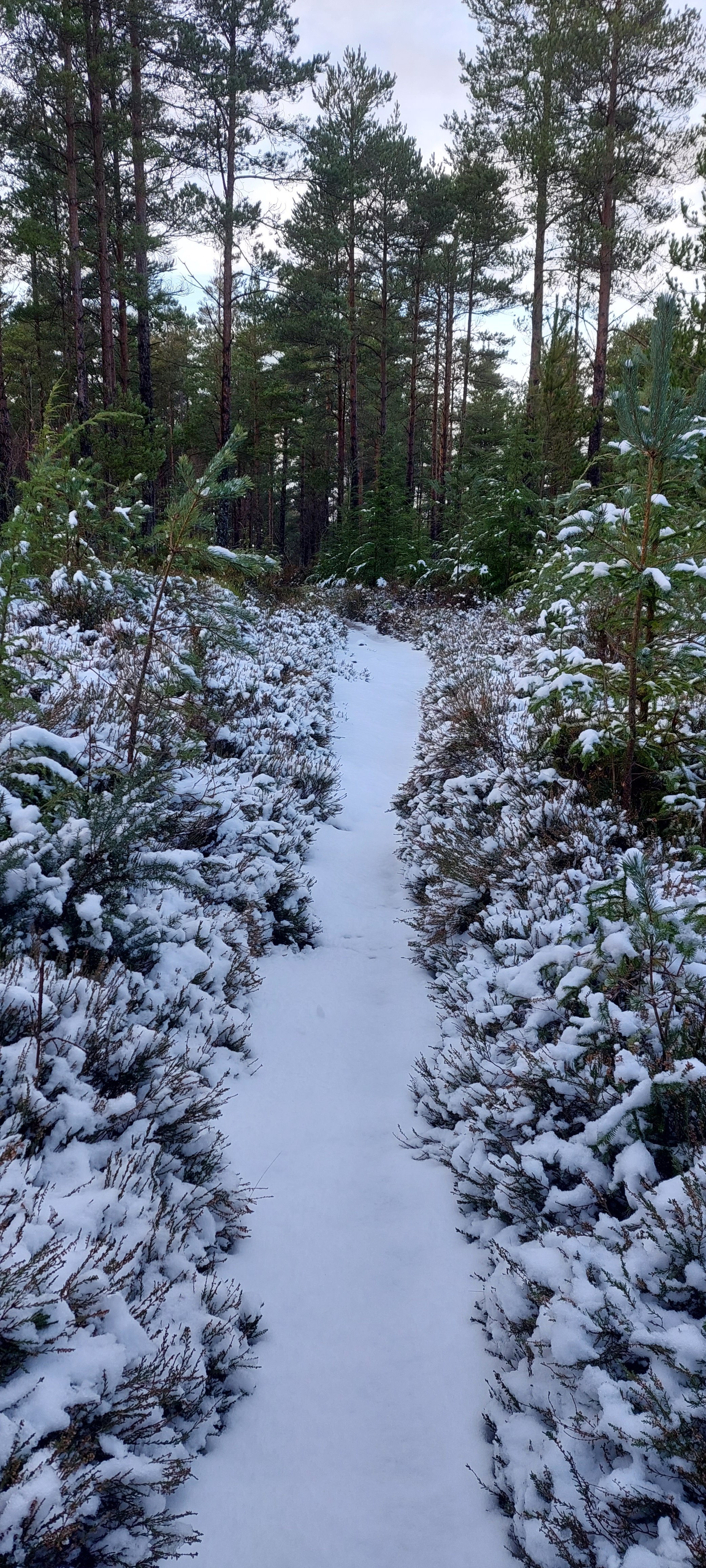 20221208_124340.jpg 20221208_124340.jpg