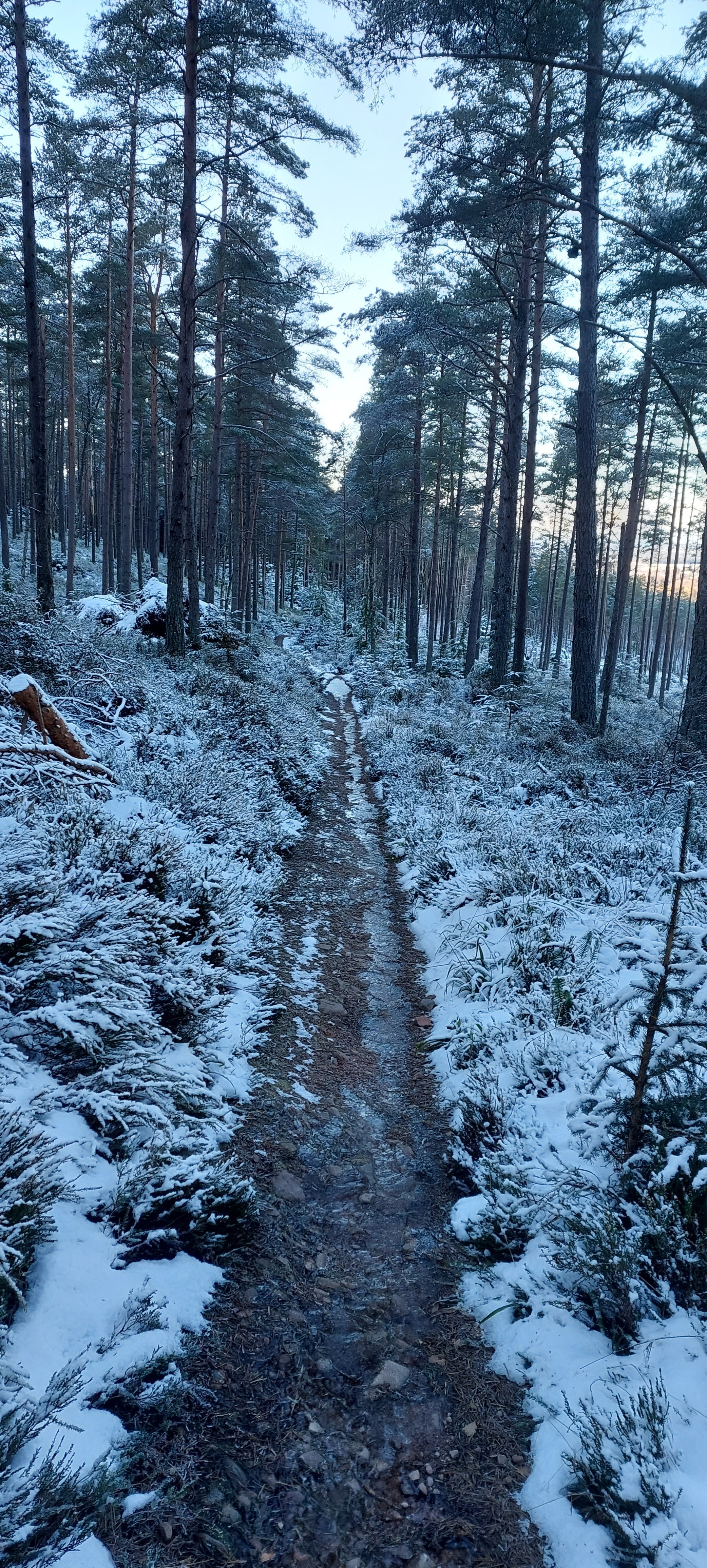 20221212_122734.jpg 20221212_122734.jpg