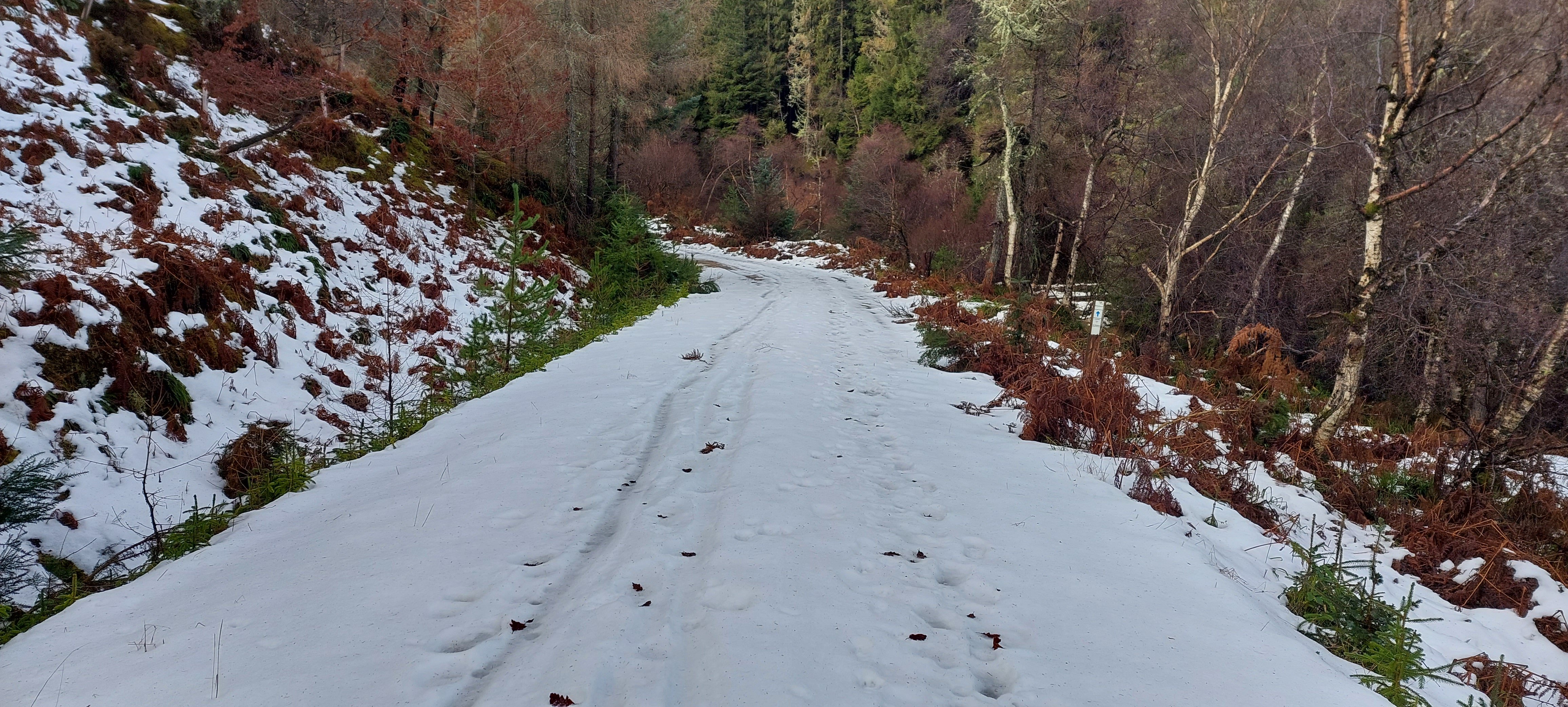 20221223_120214.jpg