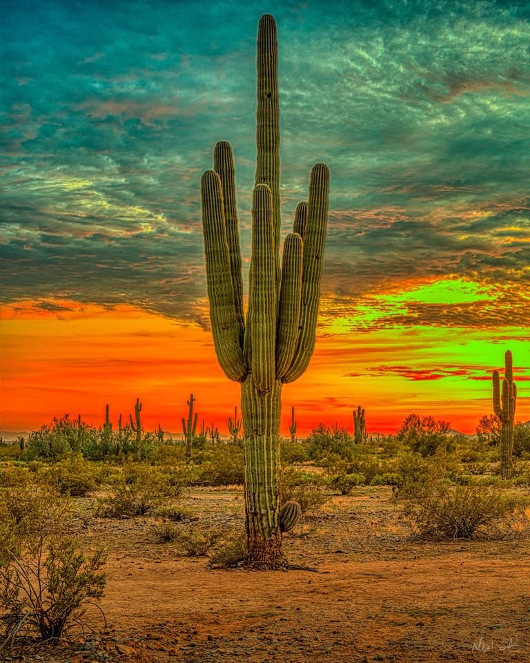 321304624_1234416047109704_7476647553642063477_n.jpg 321304624_1234416047109704_7476647553642063477_n.jpg