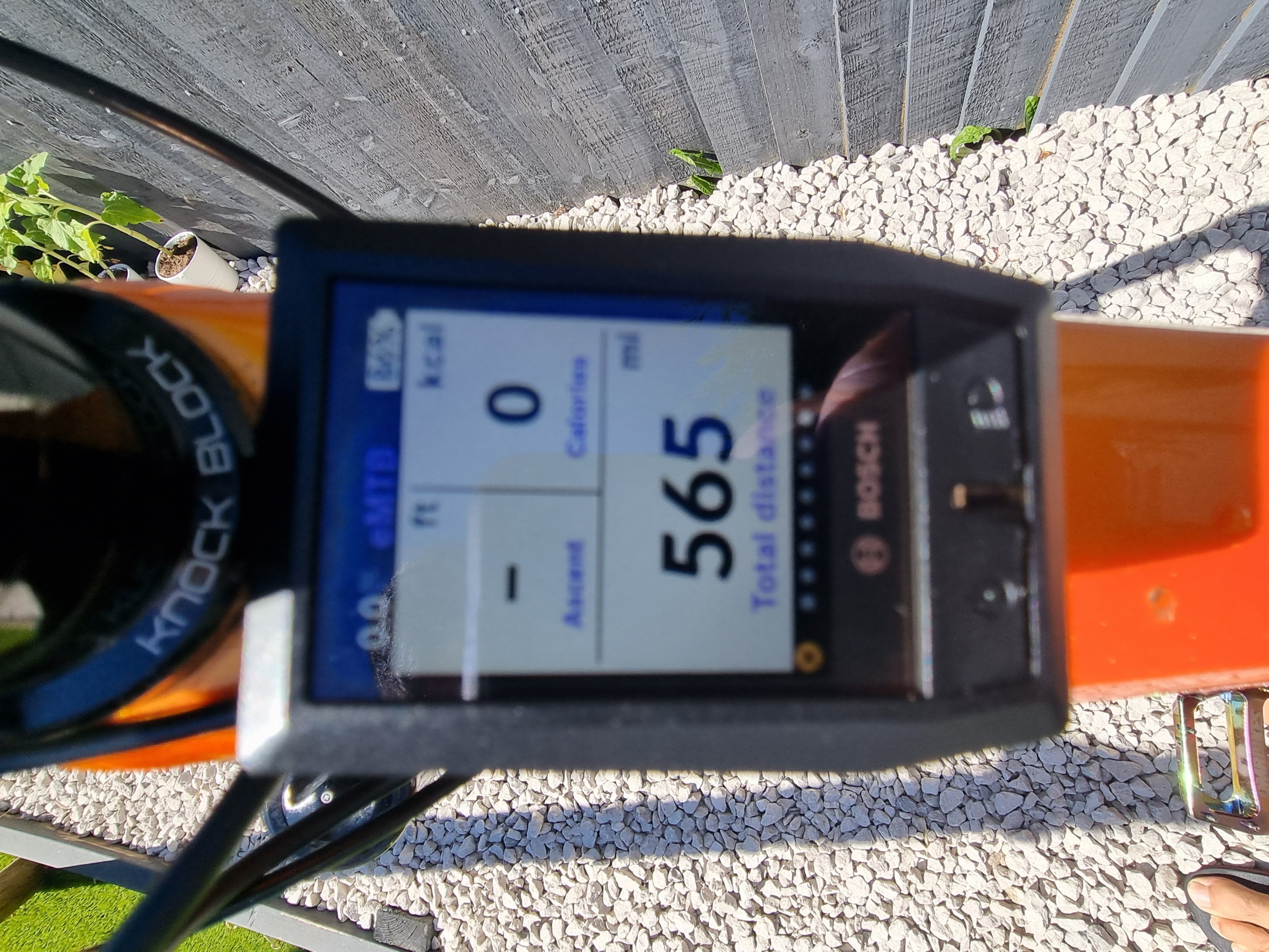20220811_114831.jpg 20220811_114831.jpg