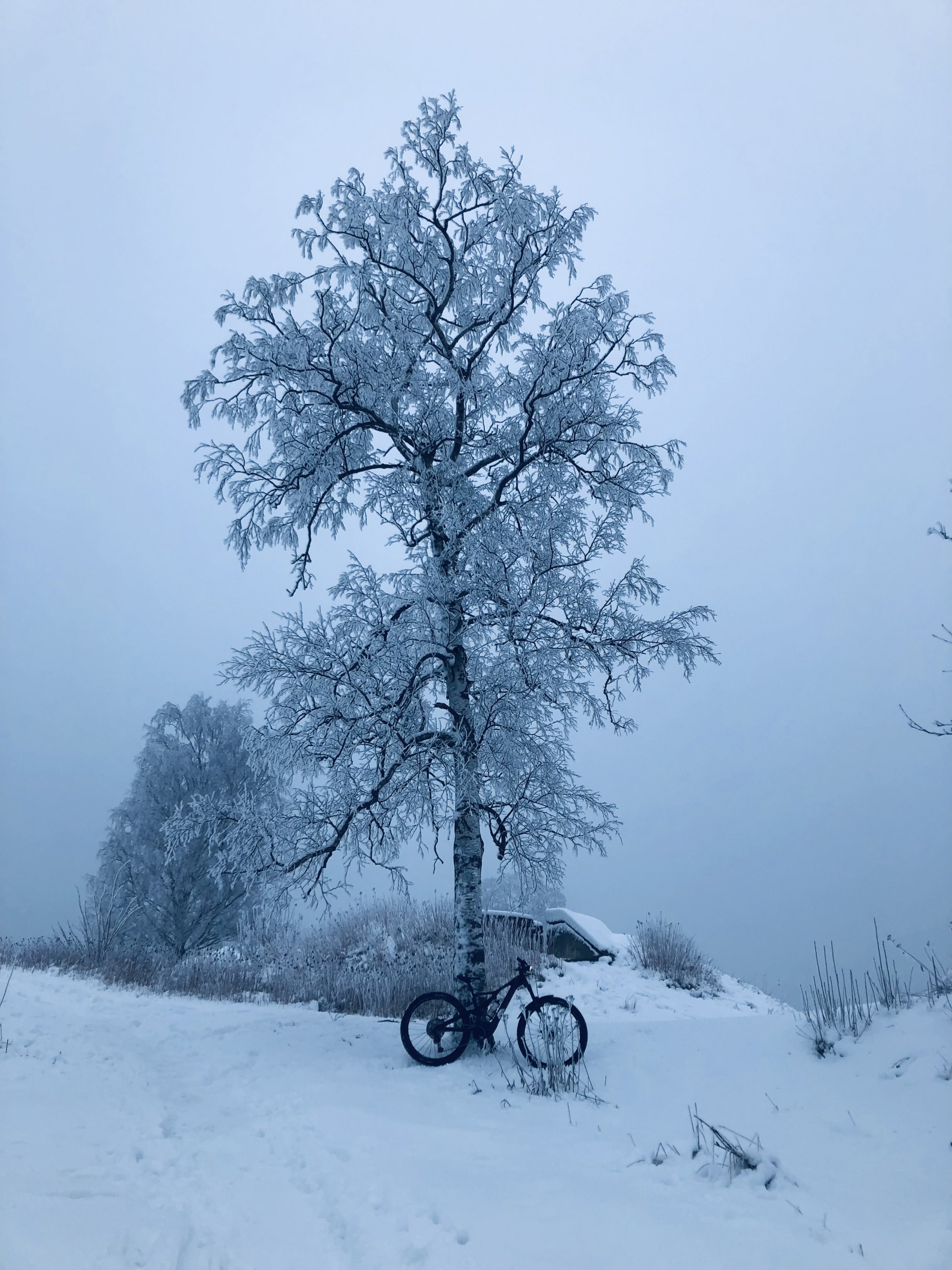 C32F067C-4A7C-4F2C-A22D-03C611F53603.jpeg