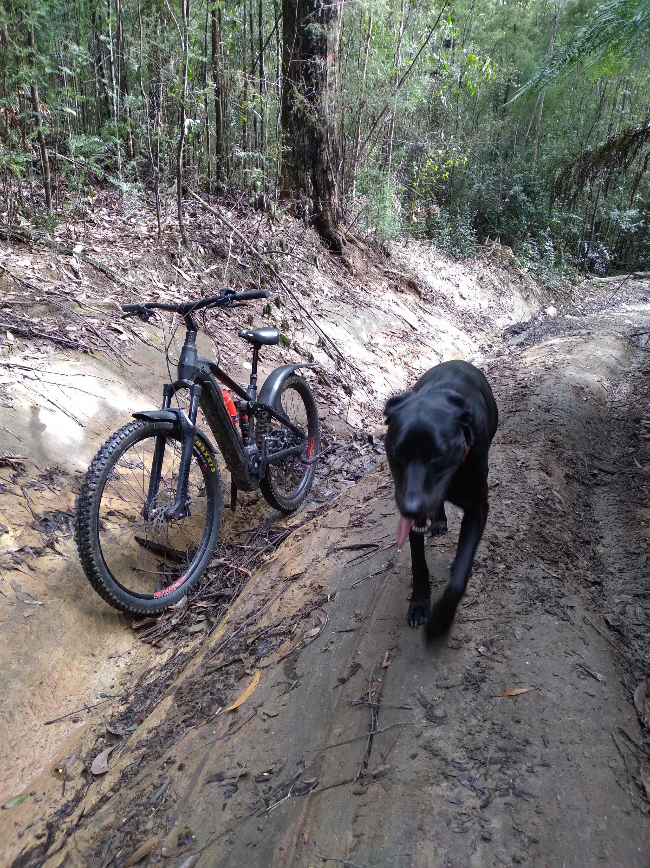 ruts2.jpg