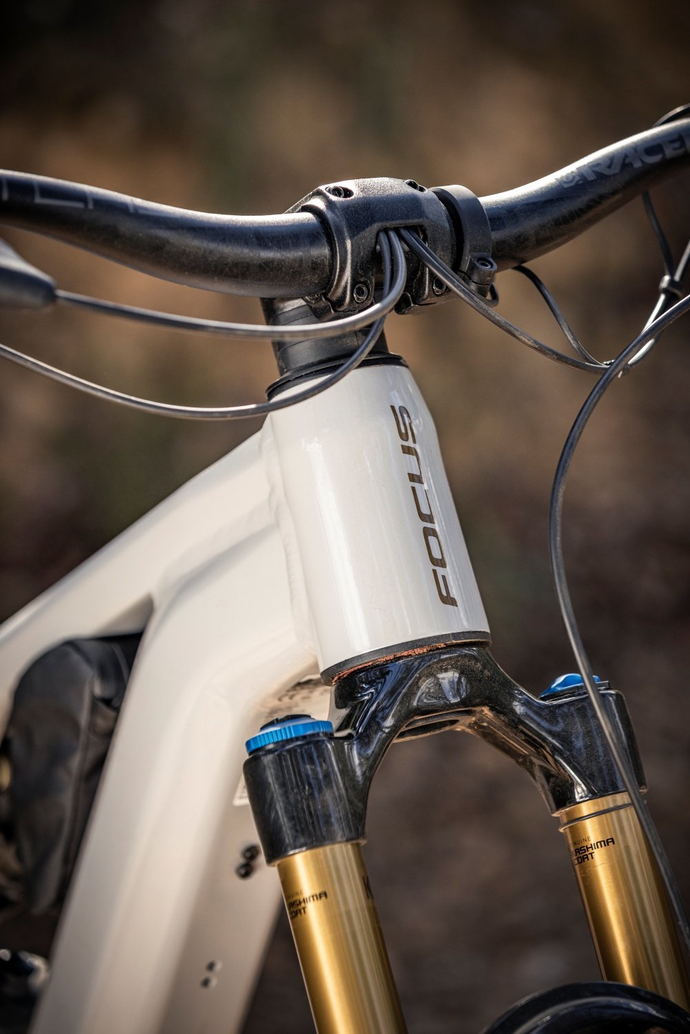c01_FOCUS-MY23-JAM2-6.9-Headtube-CIS-H4A3389.jpg
