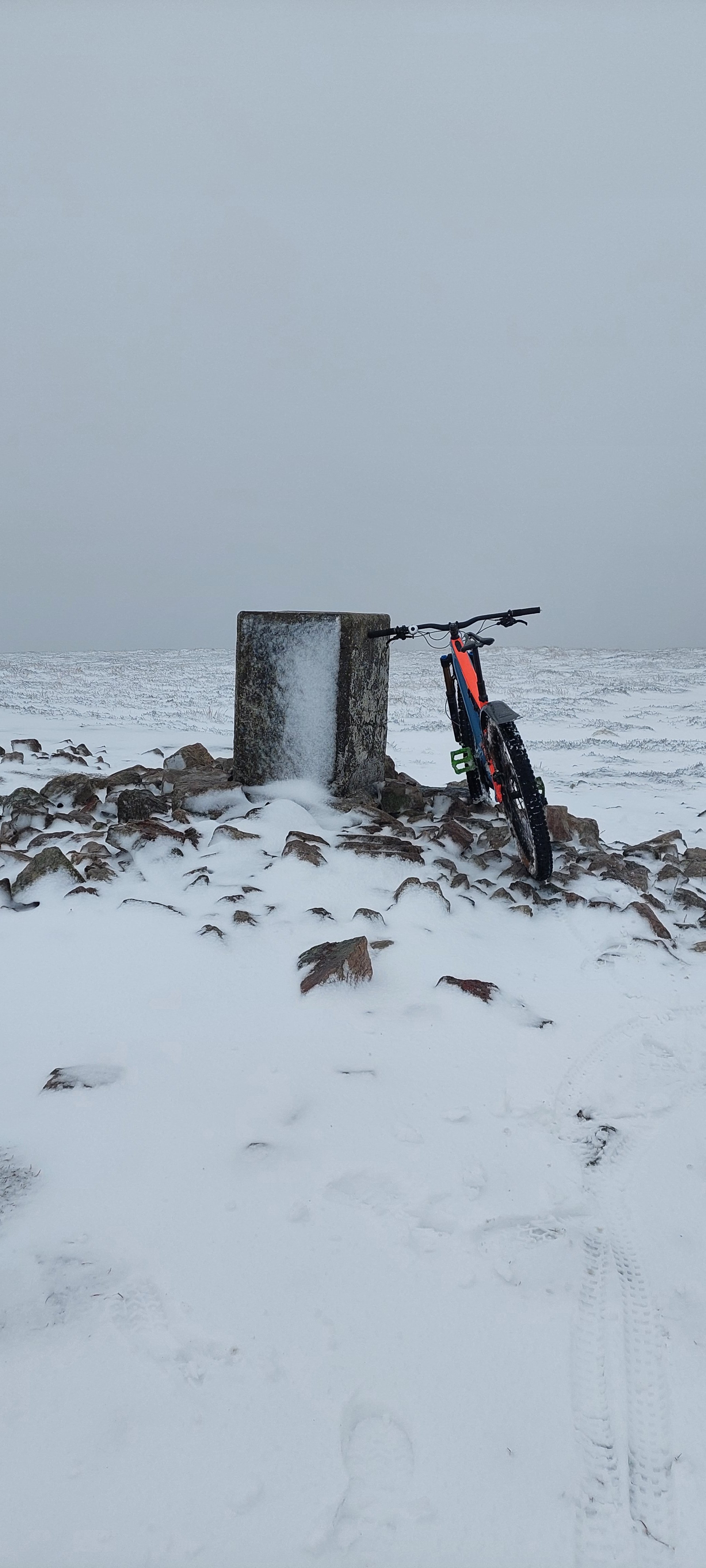 20230313_130510.jpg 20230313_130510.jpg