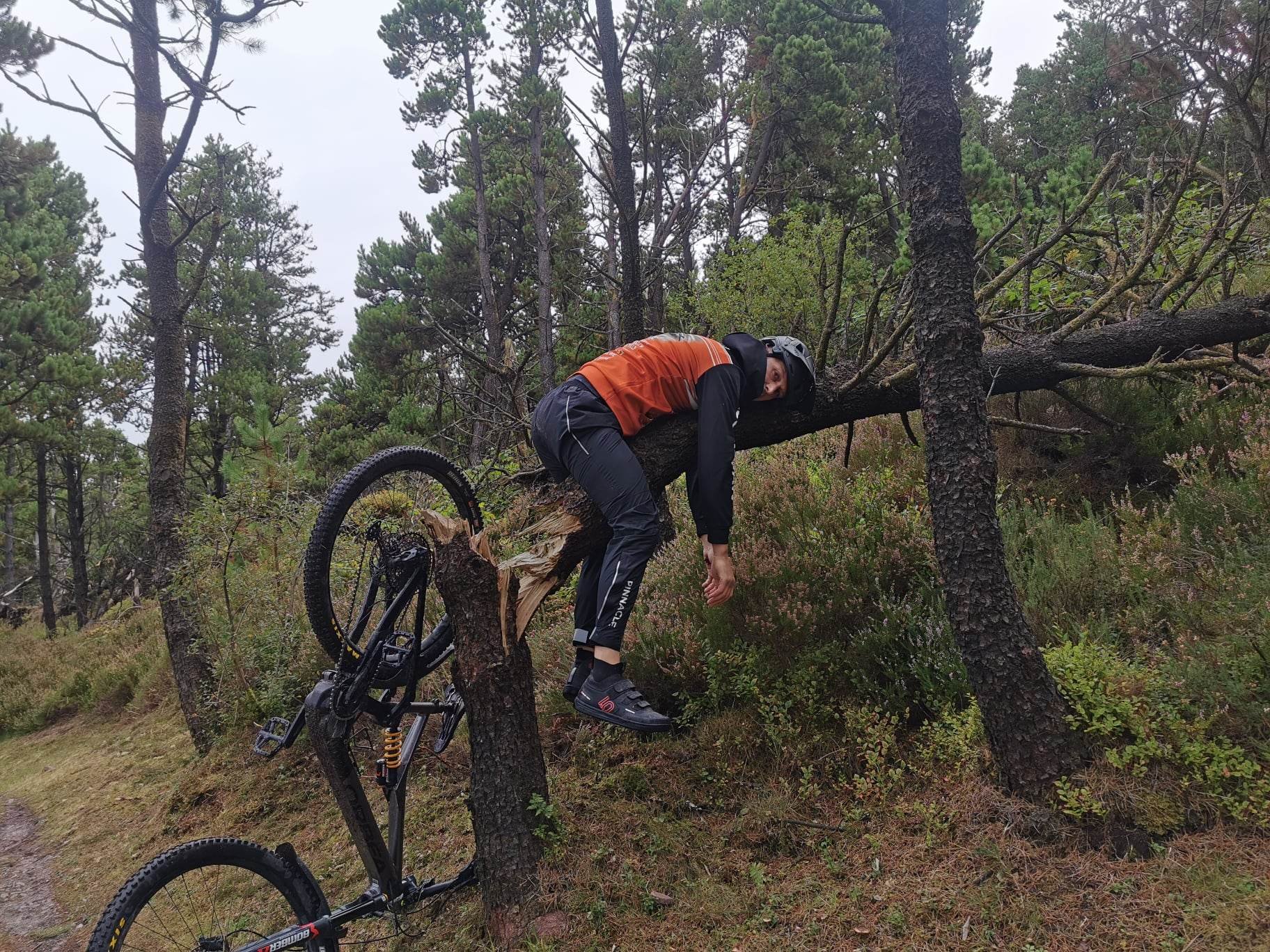 fast bike.jpg fast bike.jpg