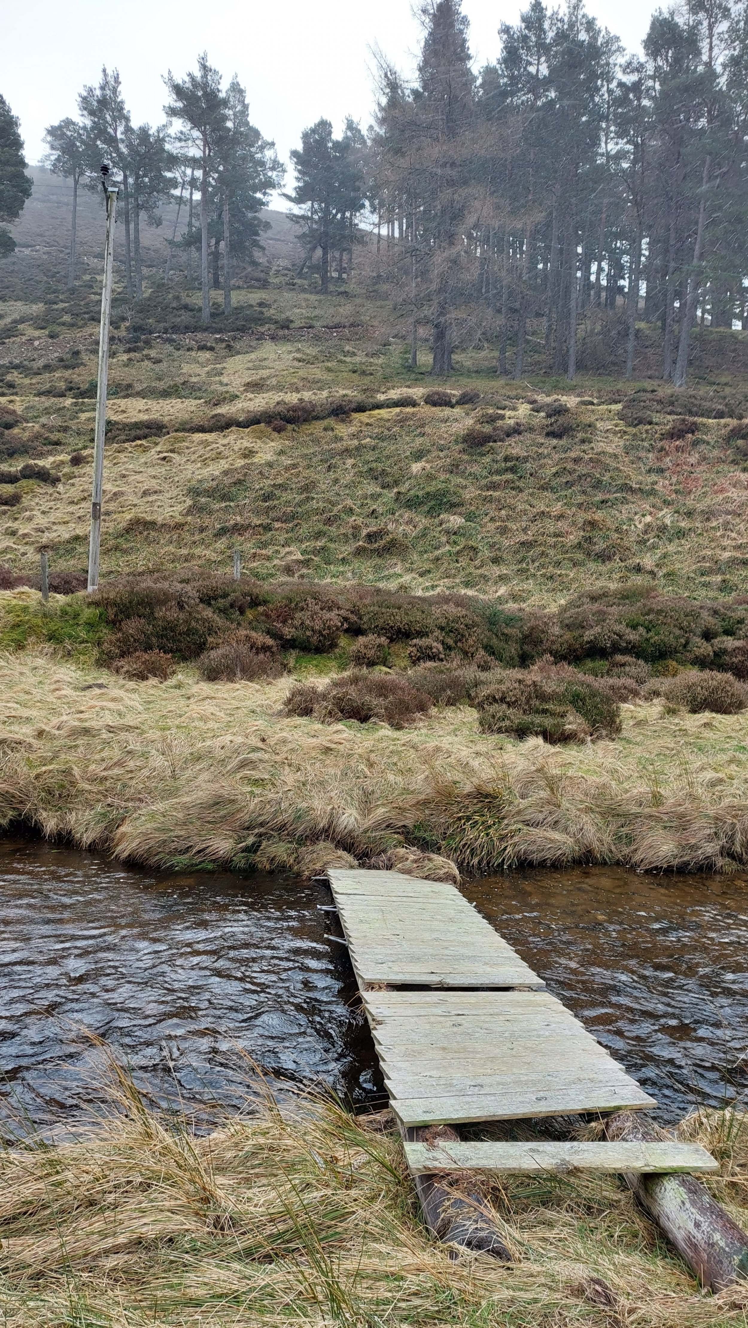 20230324_121547.jpg 20230324_121547.jpg