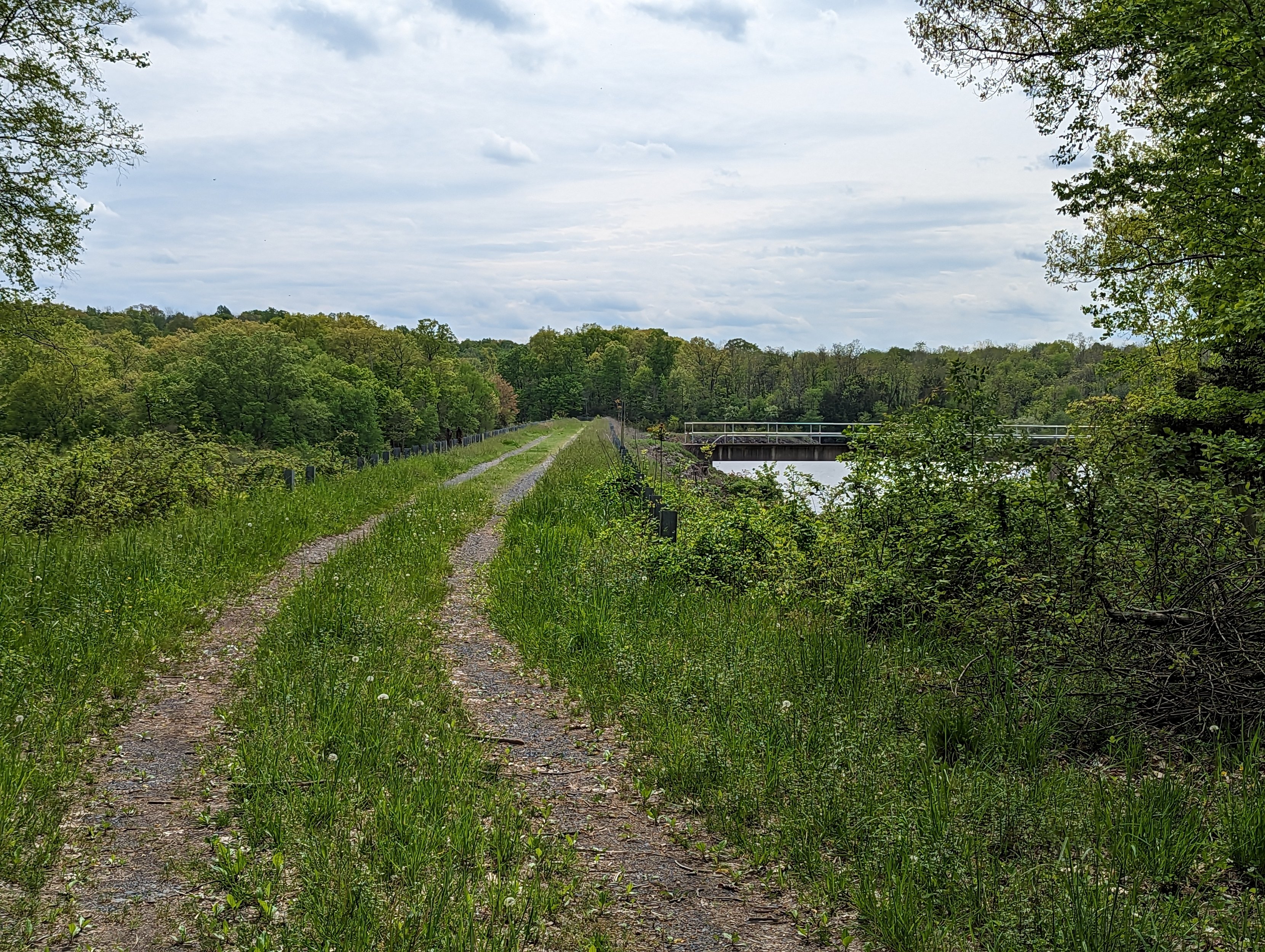 PXL_20230507_183835800.jpg