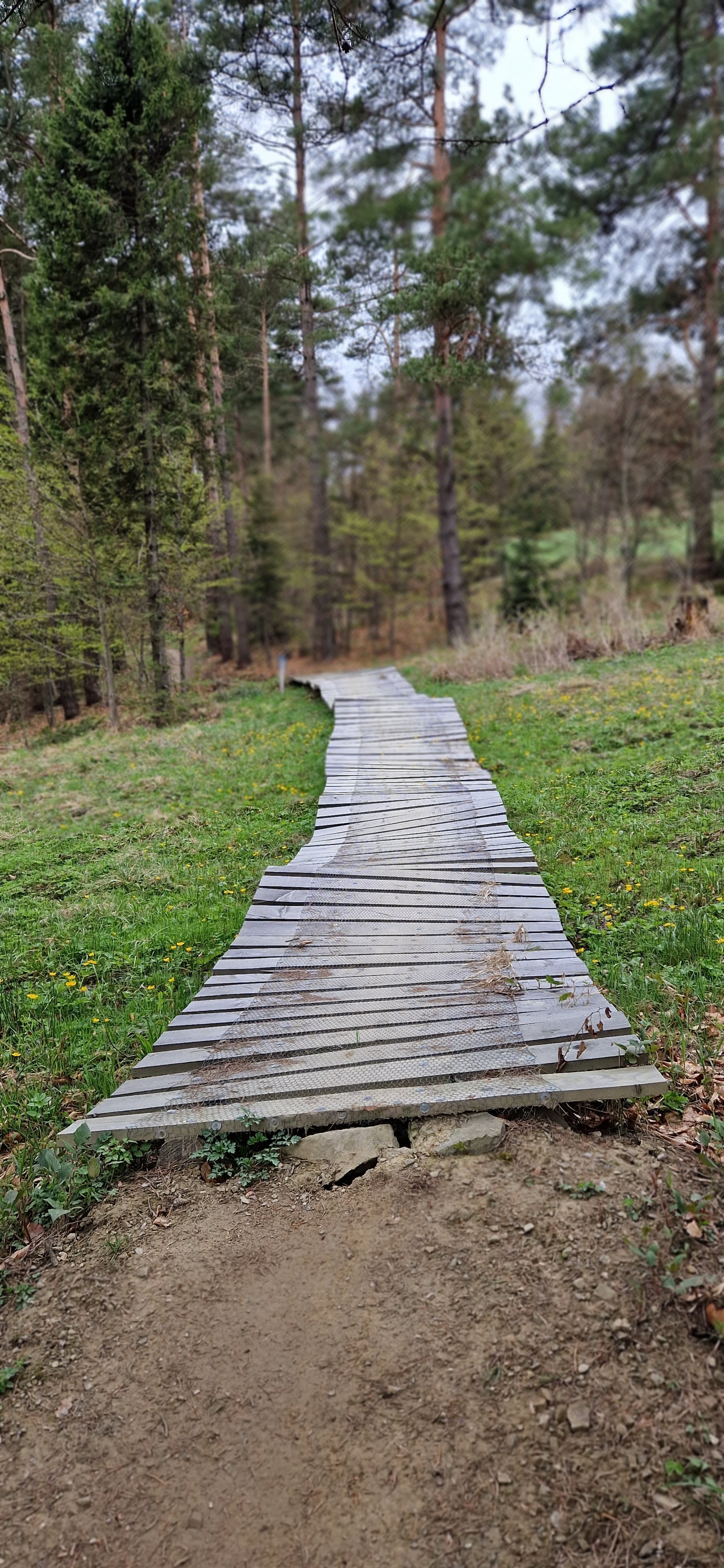 20230507_115122.jpg