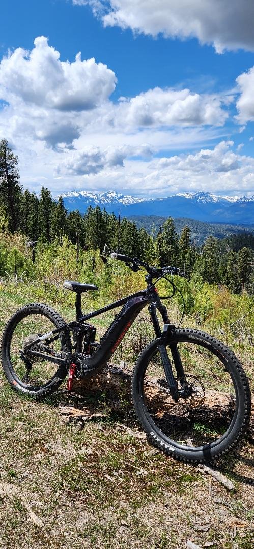 Sawdust ebike.jpg