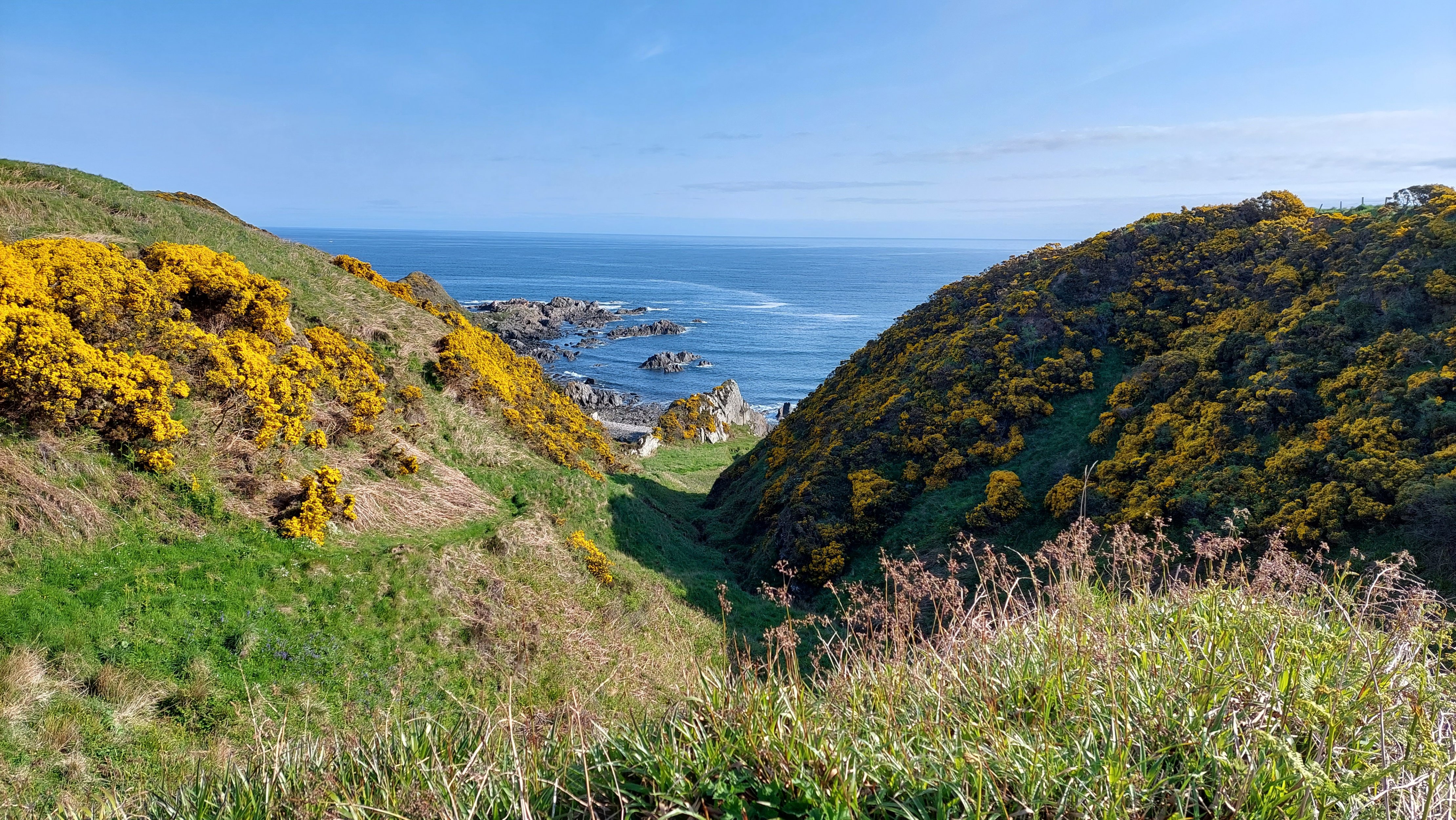 20230517_083548.jpg
