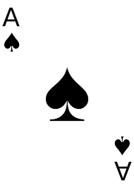 IMG_6383.png