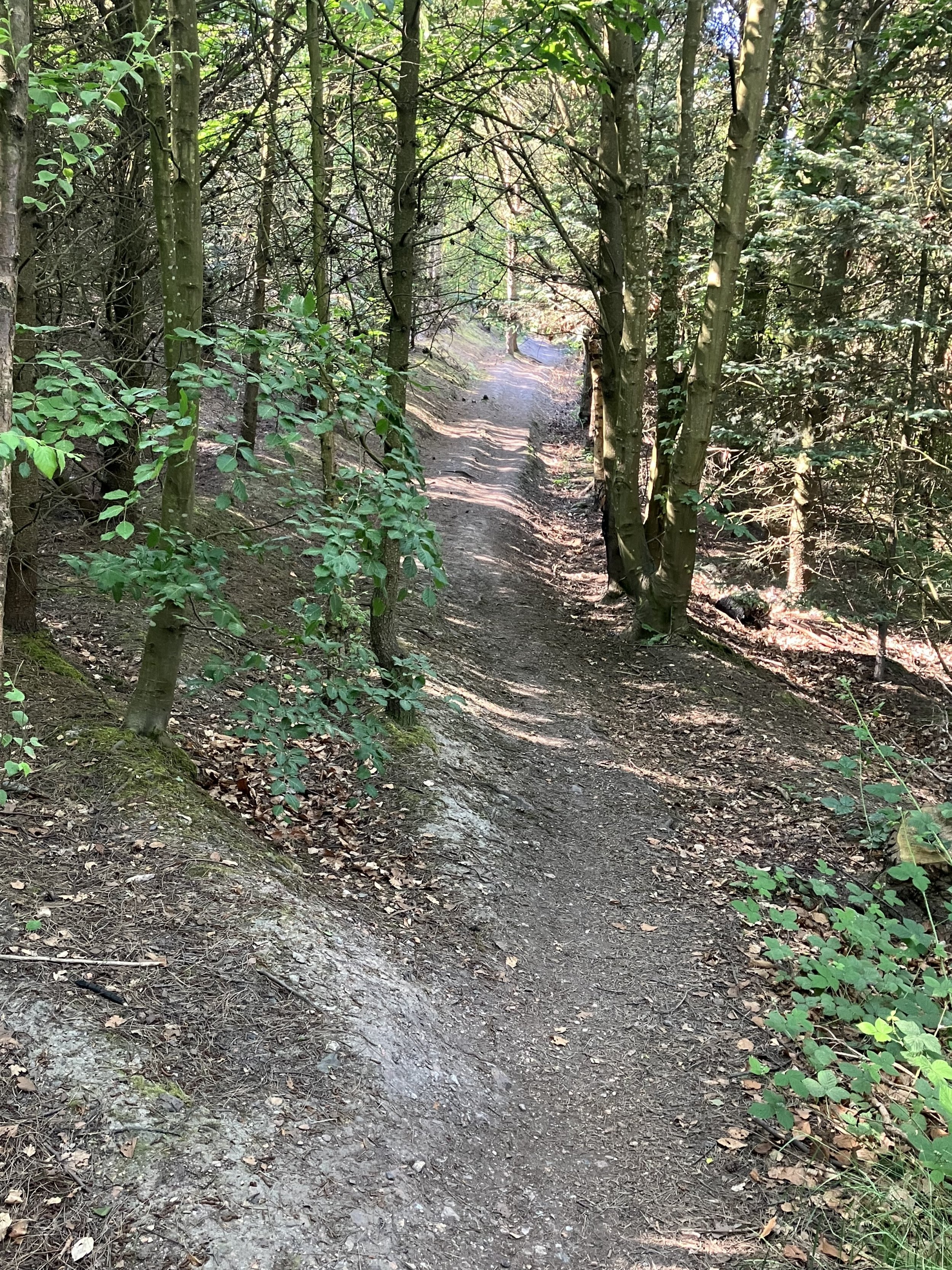 IMG_5616.jpeg IMG_5616.jpeg
