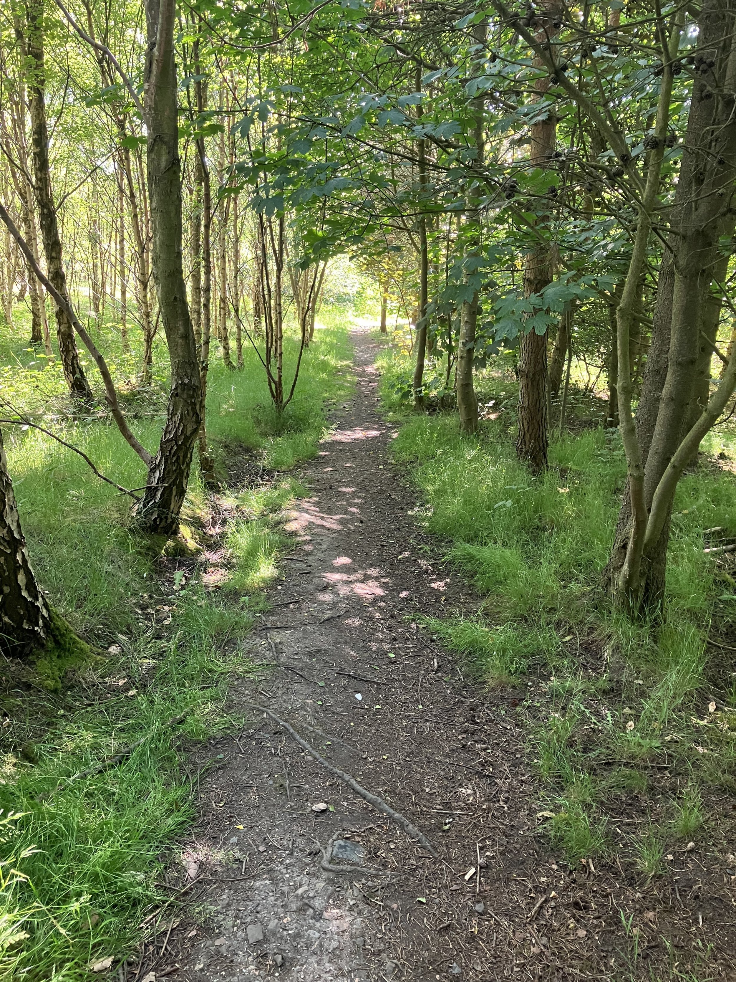 IMG_5617.jpeg IMG_5617.jpeg