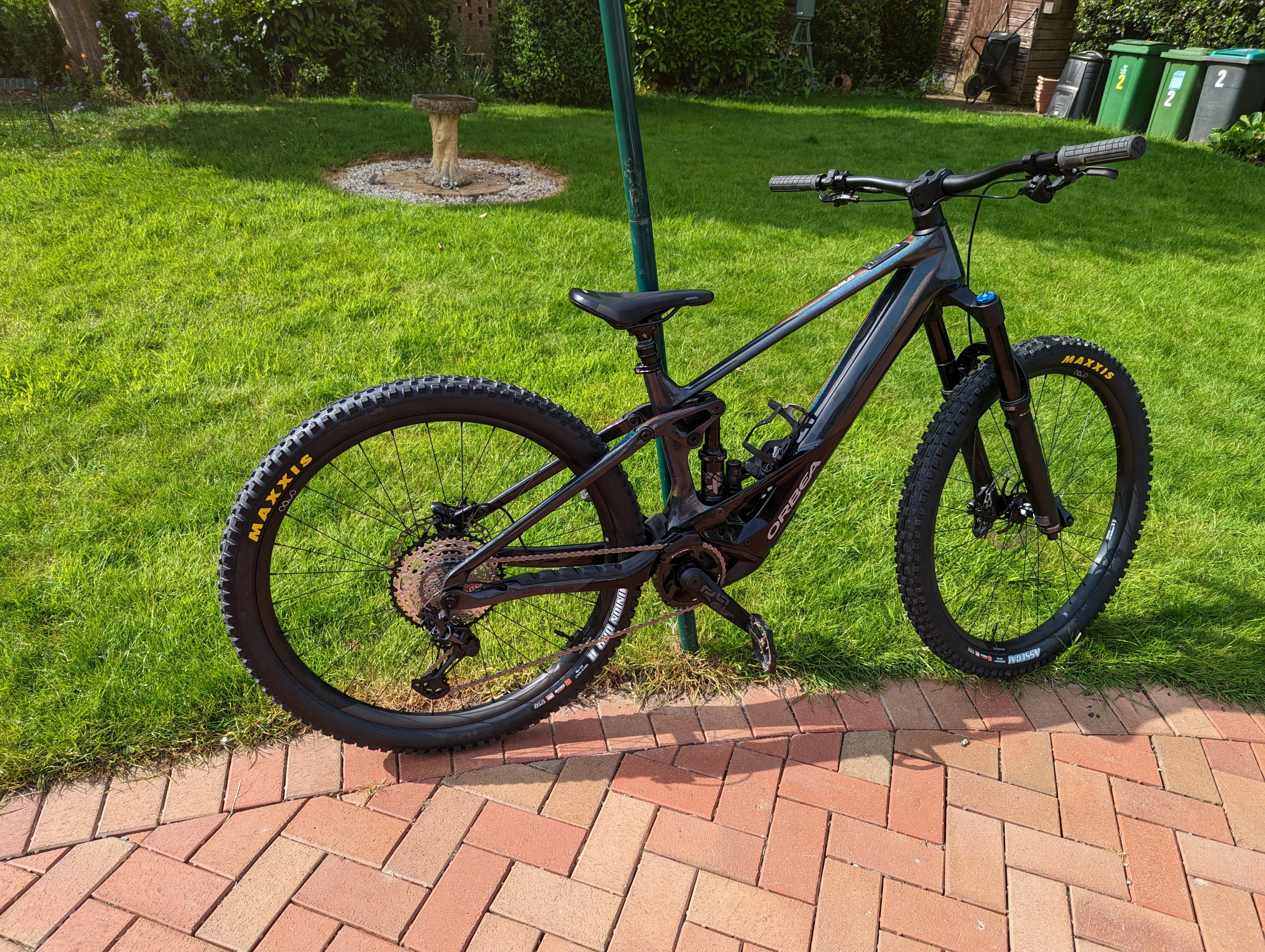 Orbea Wild 23.jpg