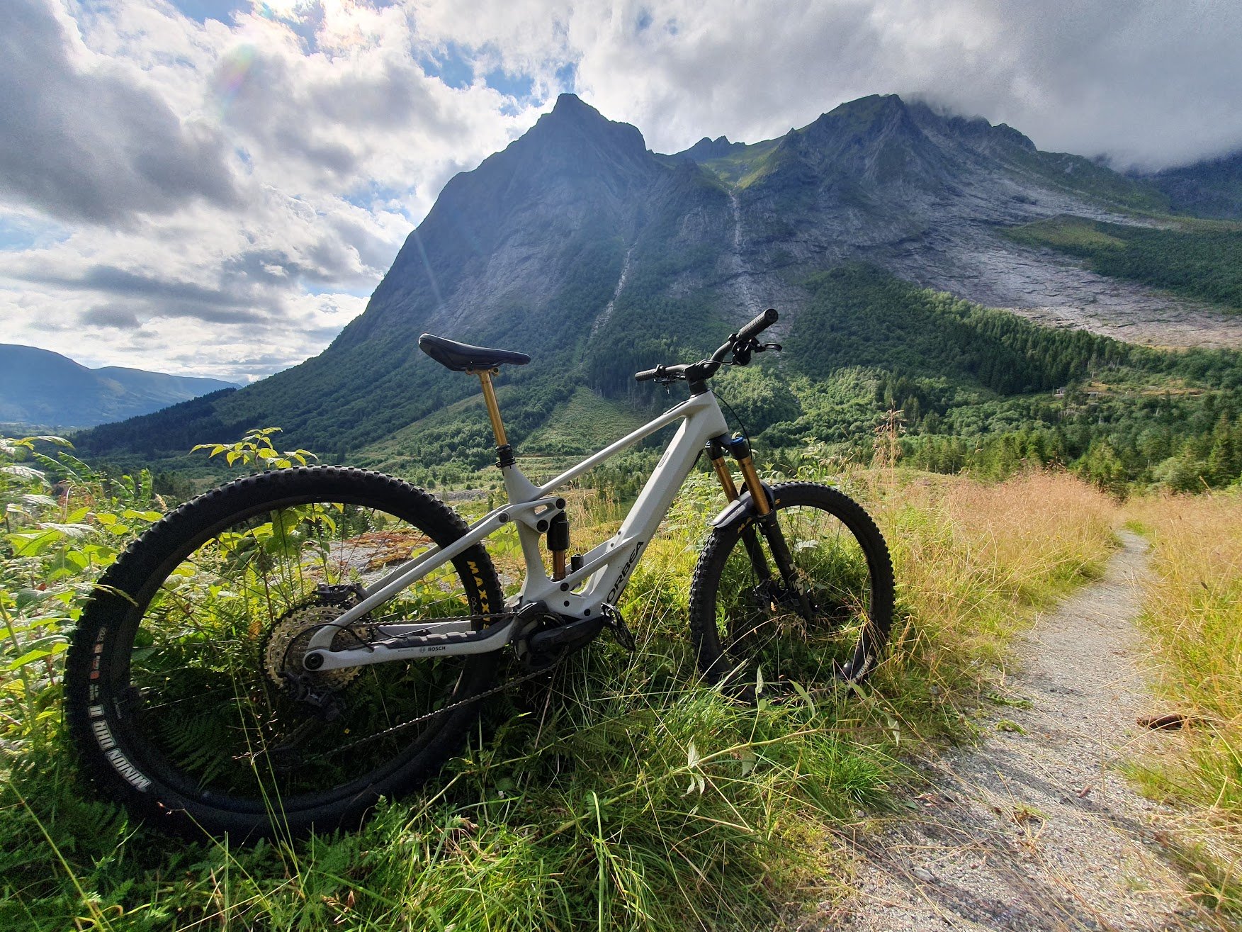 Orbea Wild 2023.jpg