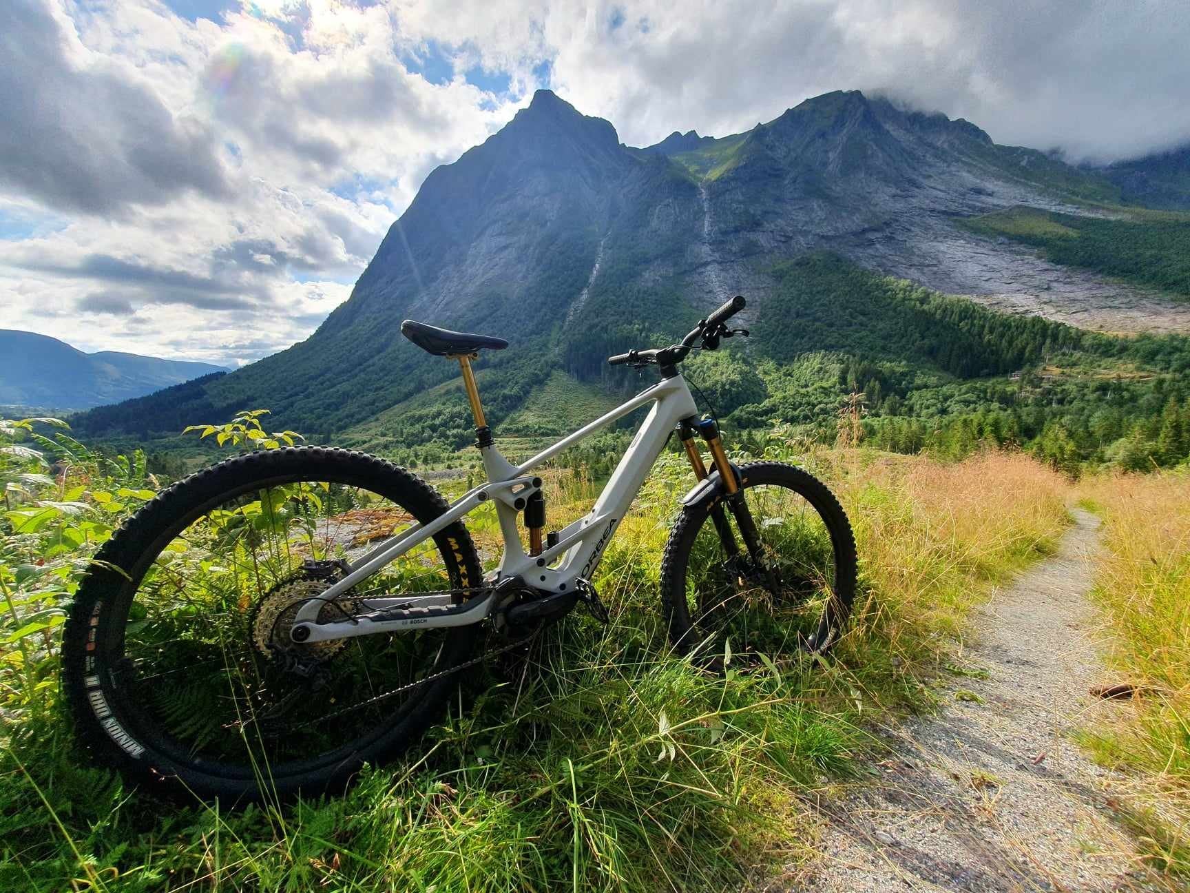 1 Orbea Wild 2023.jpg