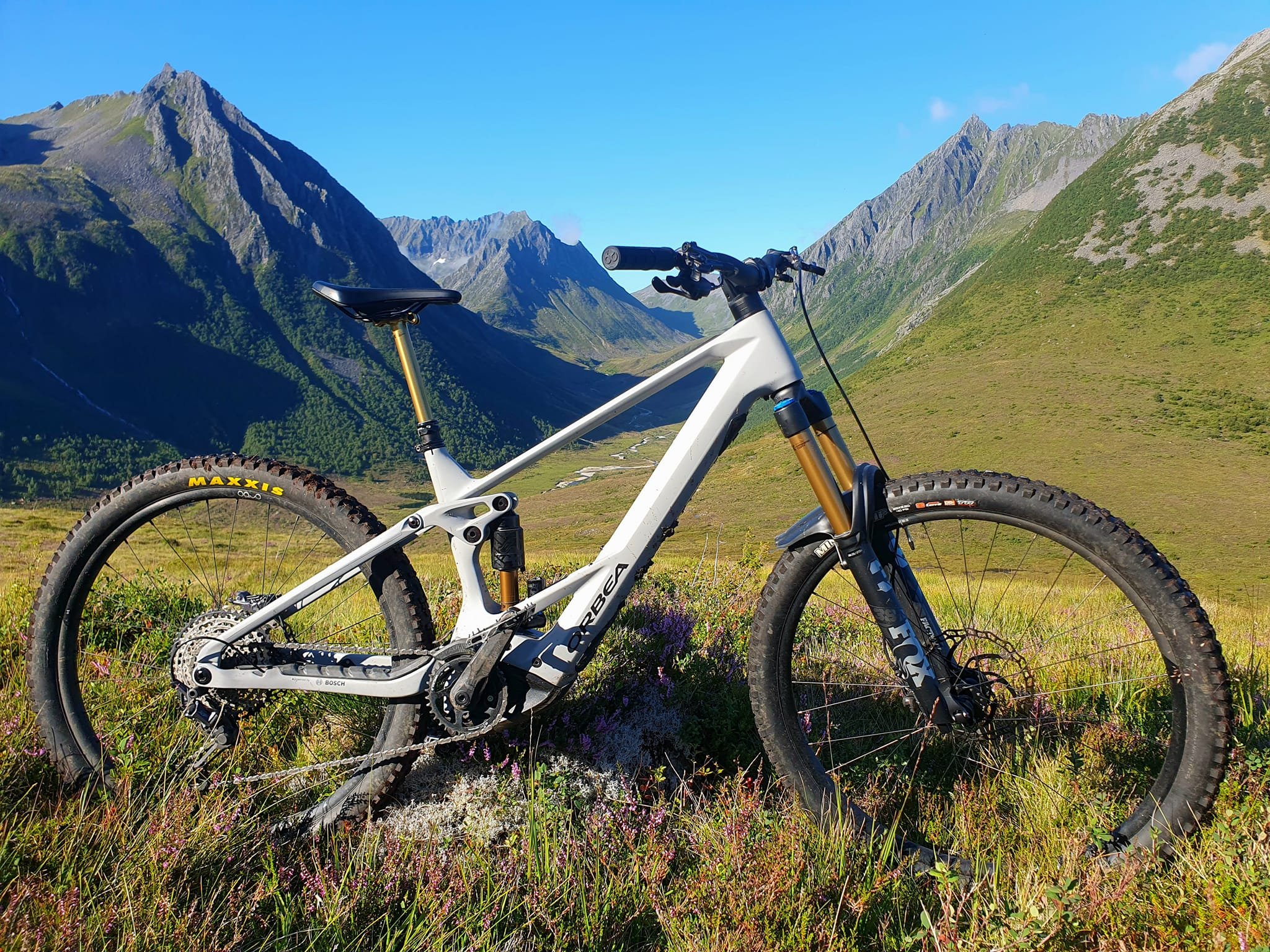 2 Orbea Wild 2023.jpg.jpg