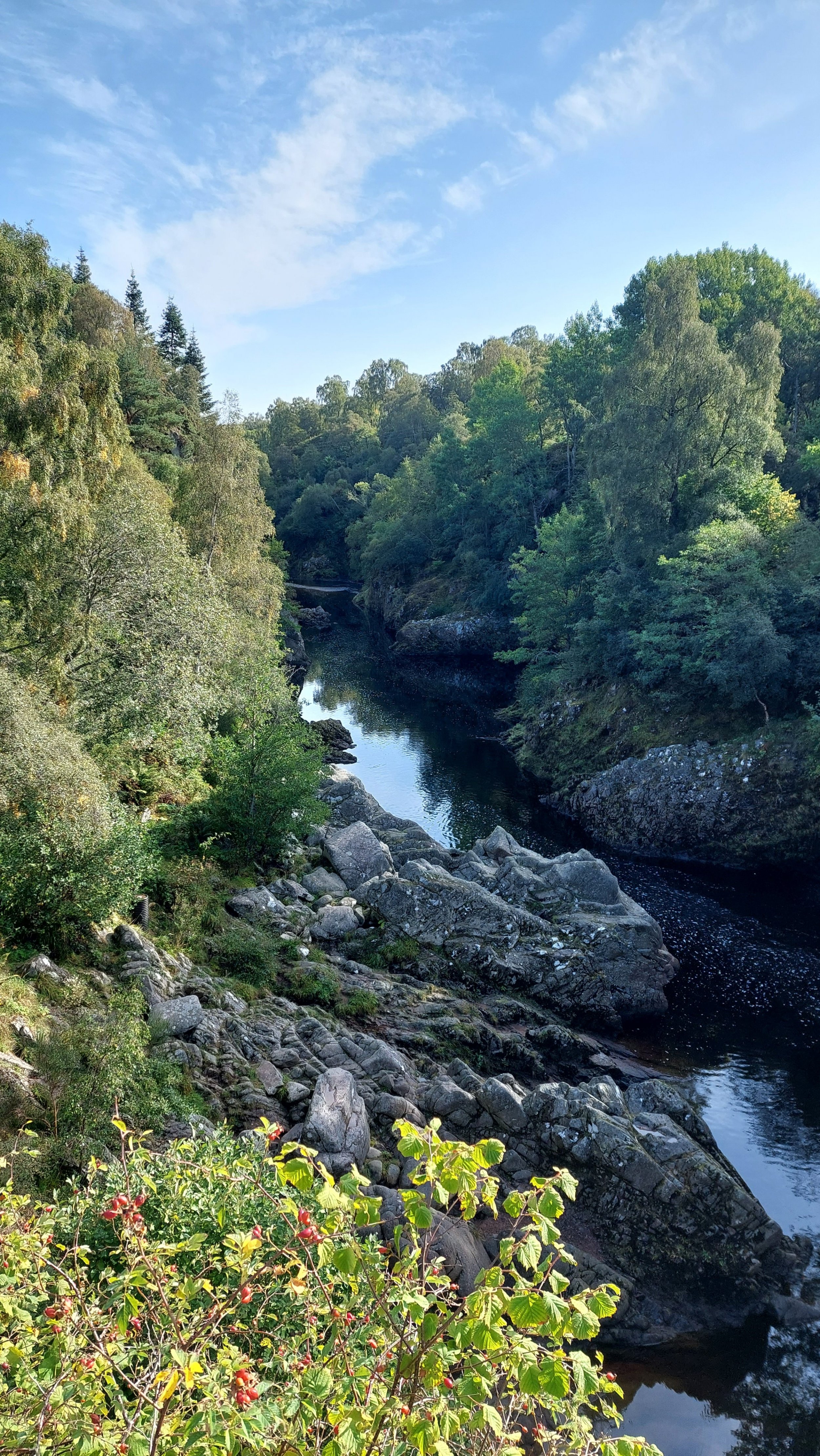 20230908_105756.jpg