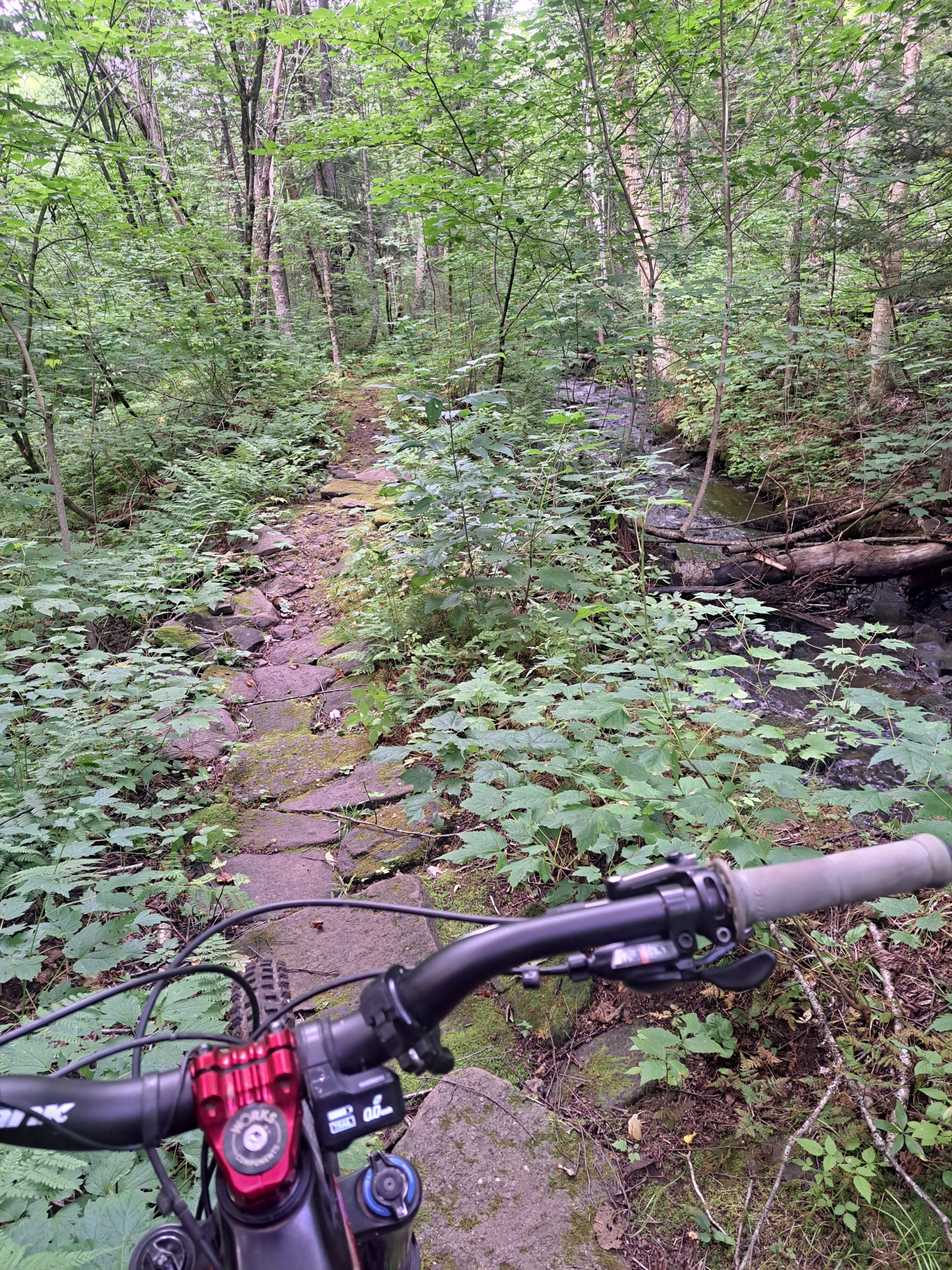 20230817_161053.jpg 20230817_161053.jpg
