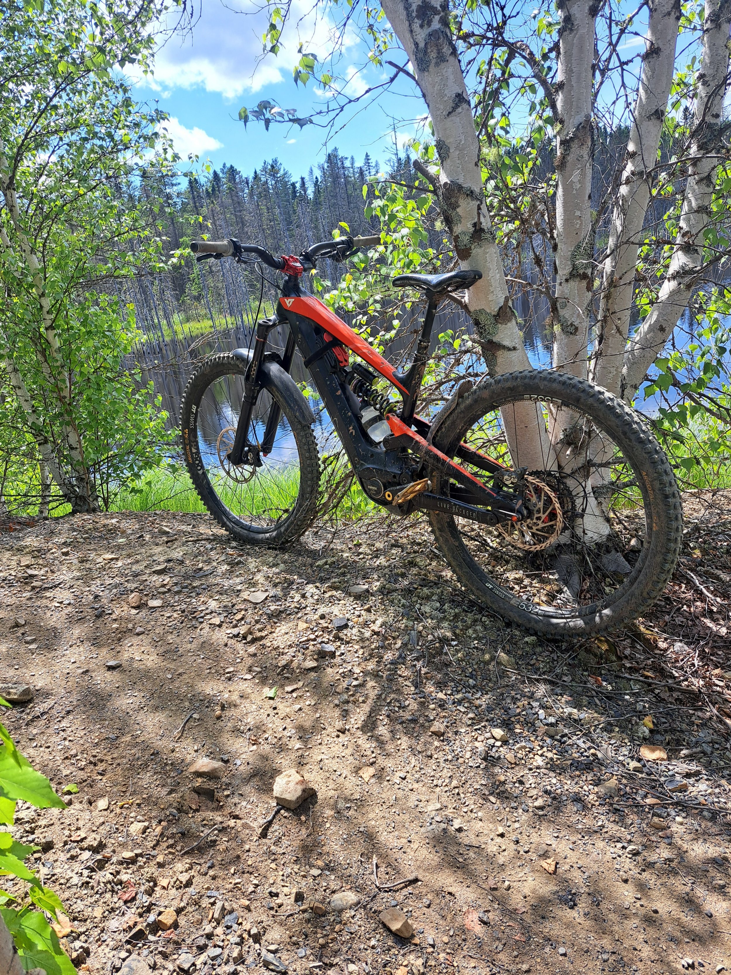20230723_144927.jpg 20230723_144927.jpg