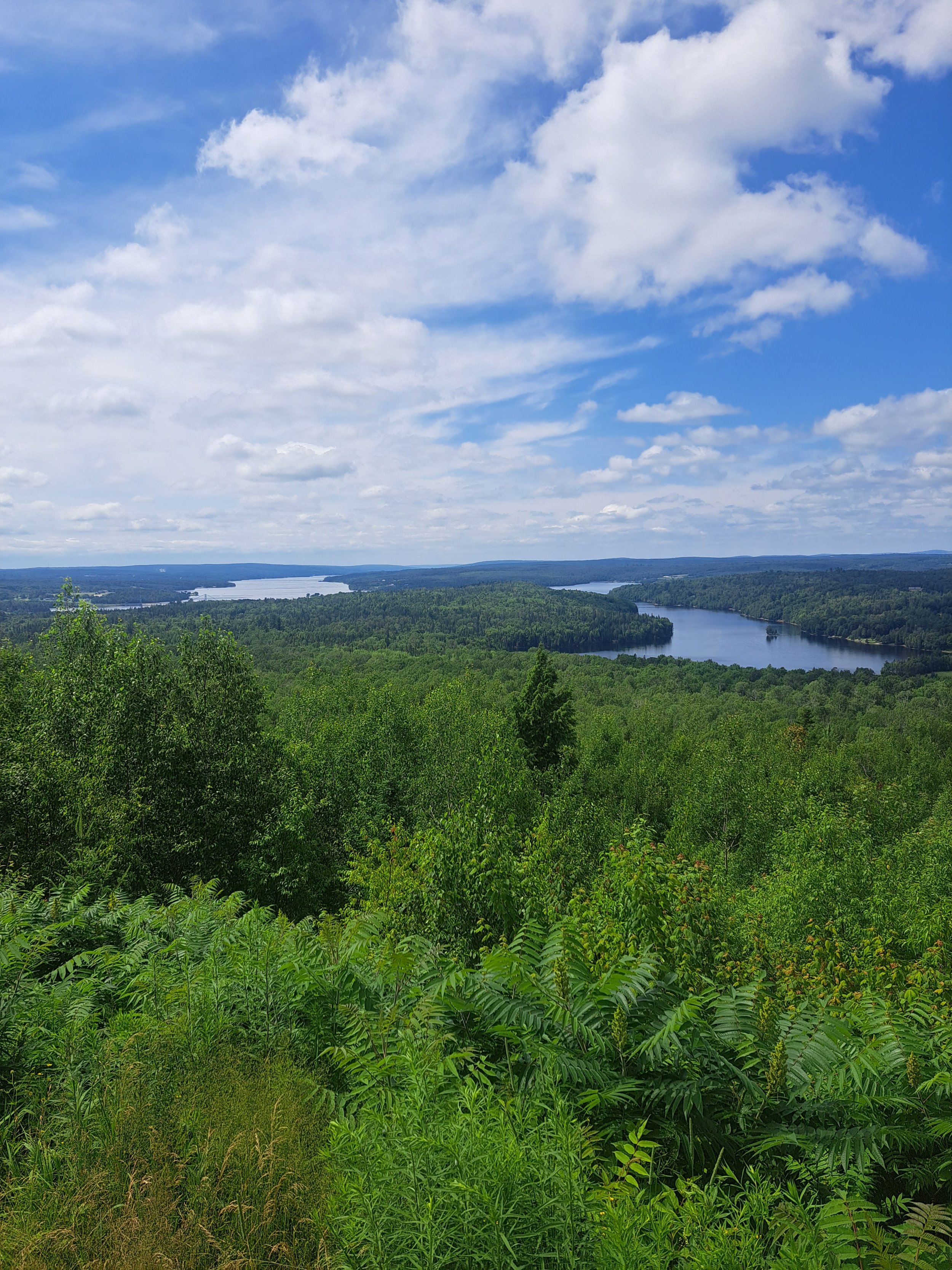20230709_151958.jpg 20230709_151958.jpg