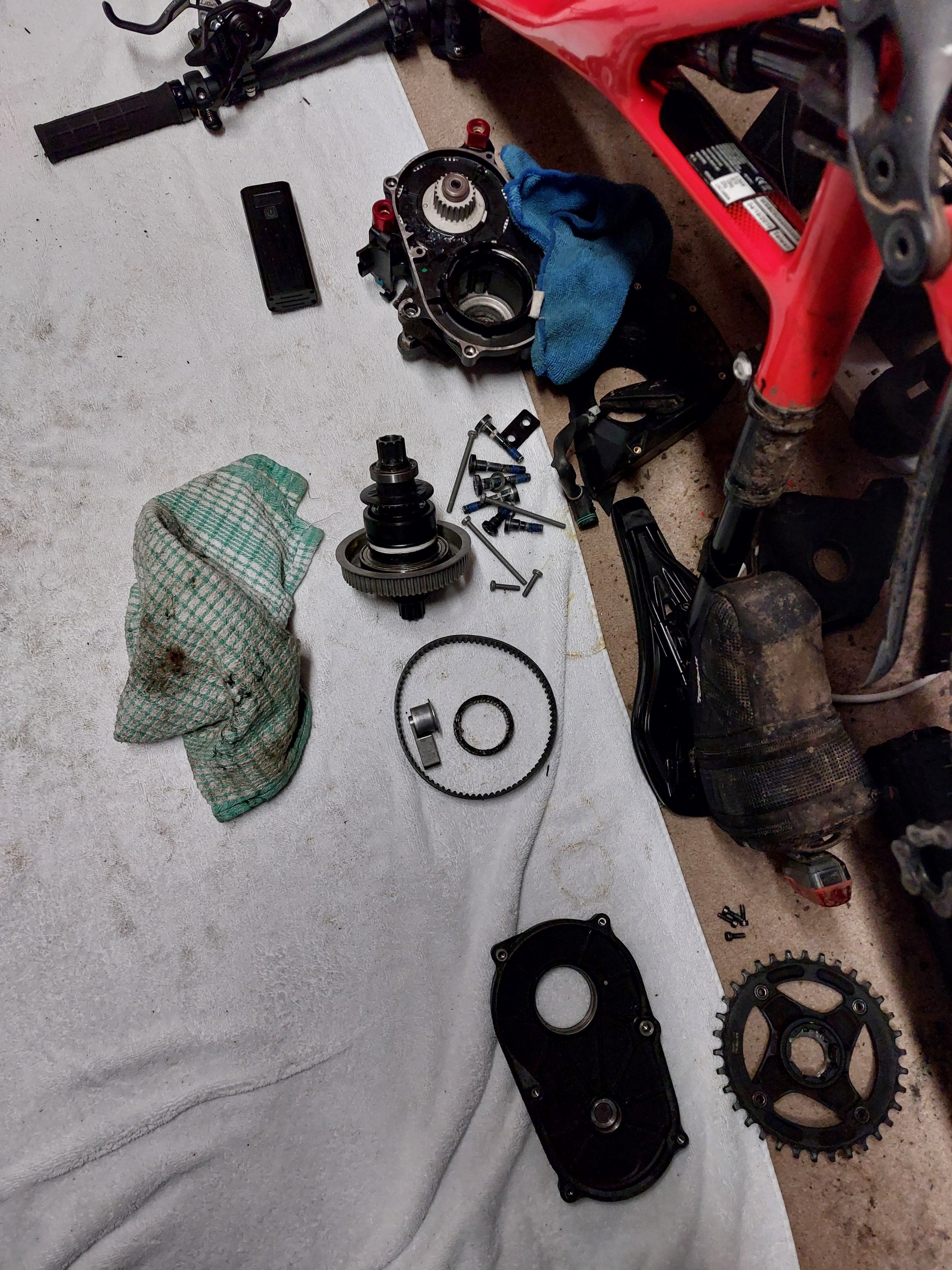 20231228_061056.jpg