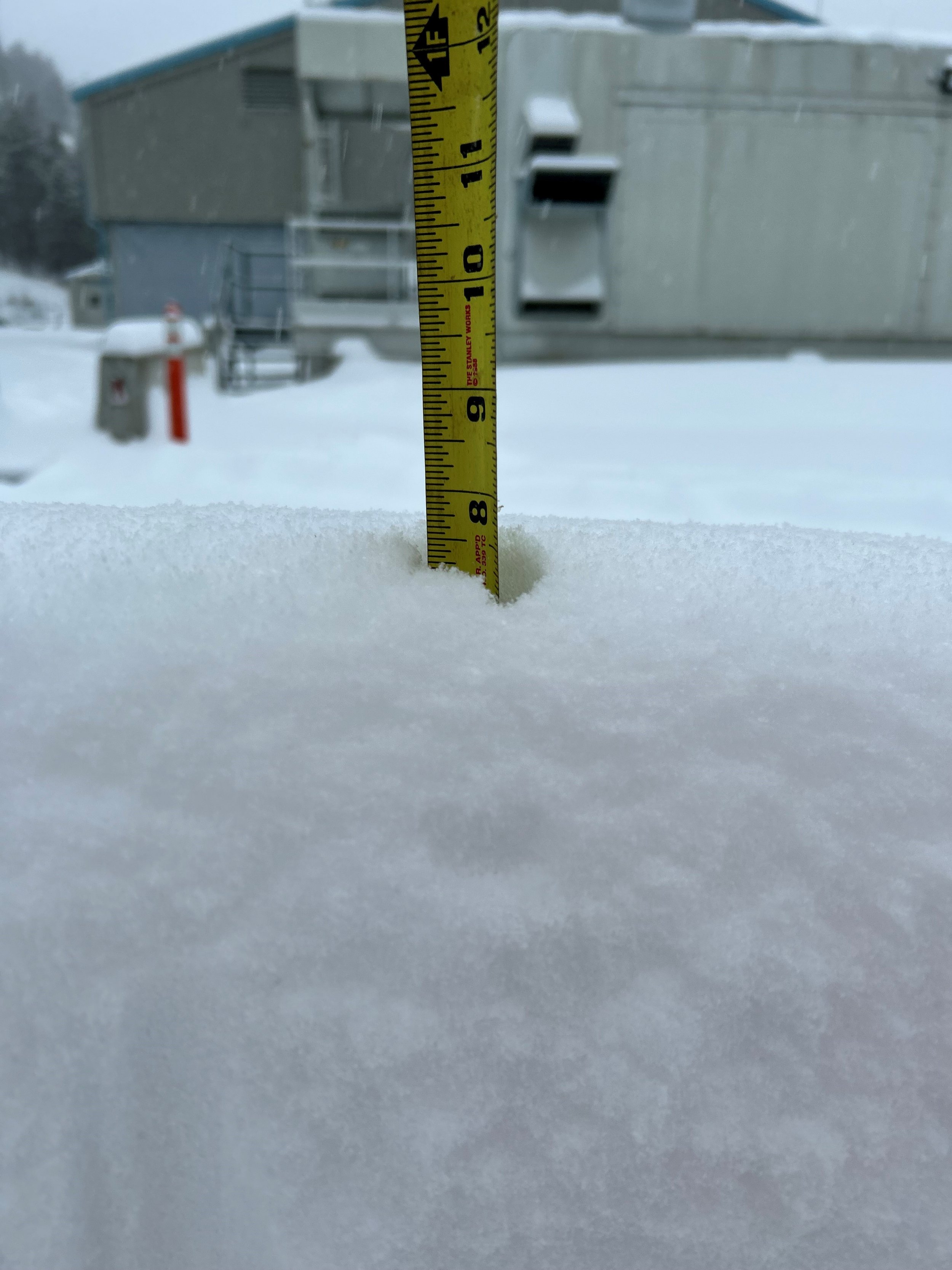 Snow1.jpg