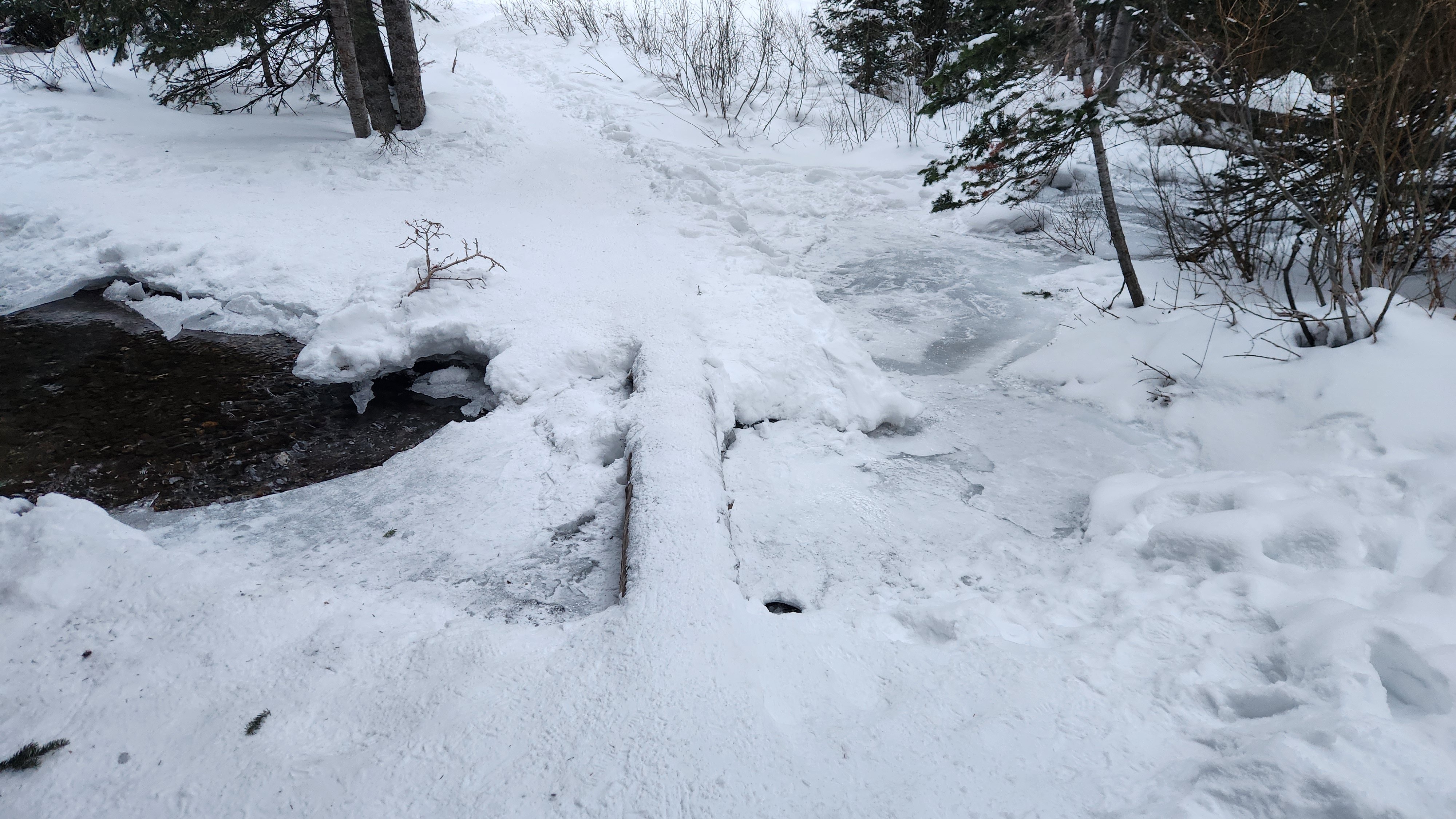 20231229_080155.jpg 20231229_080155.jpg