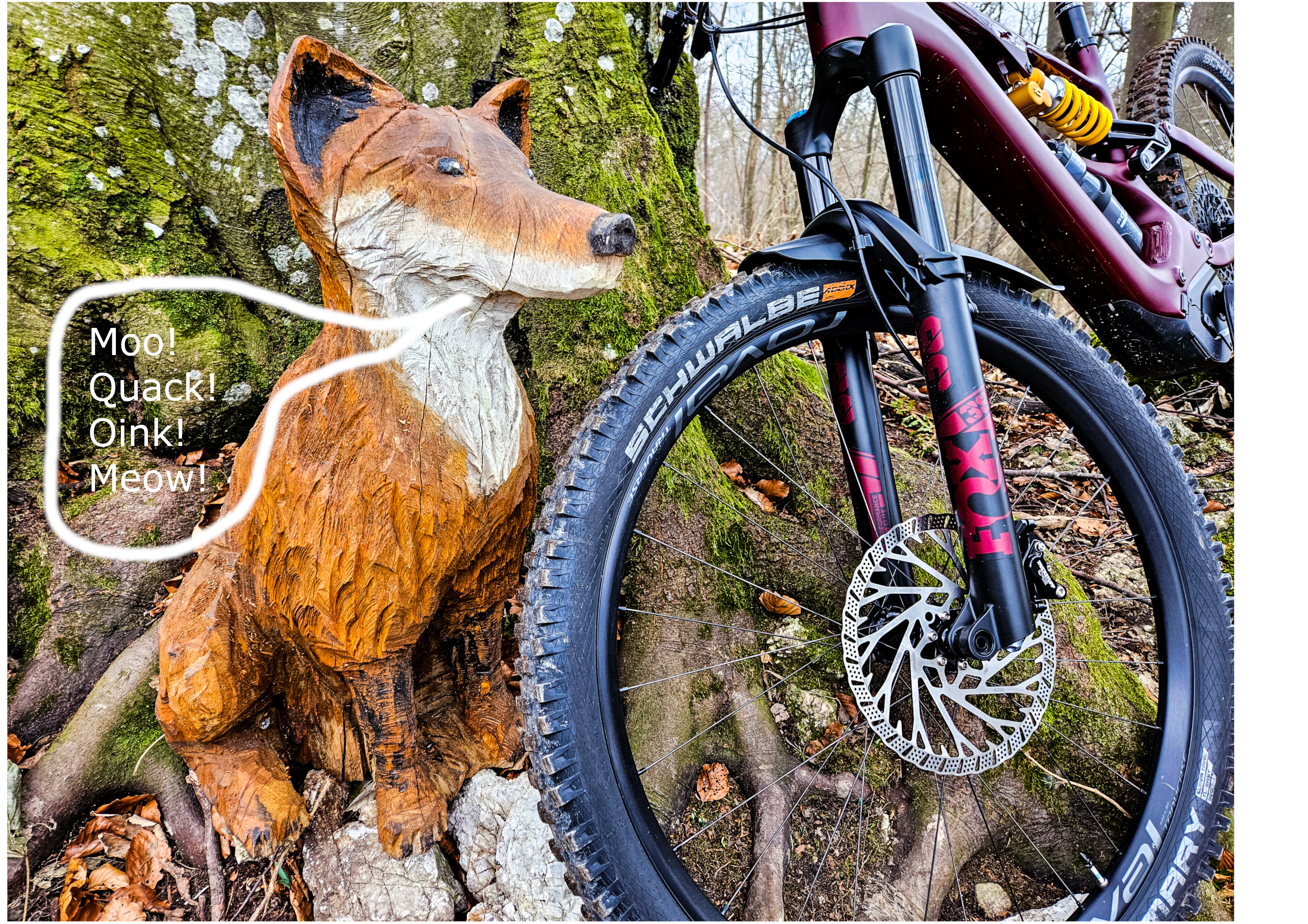 Fox.png