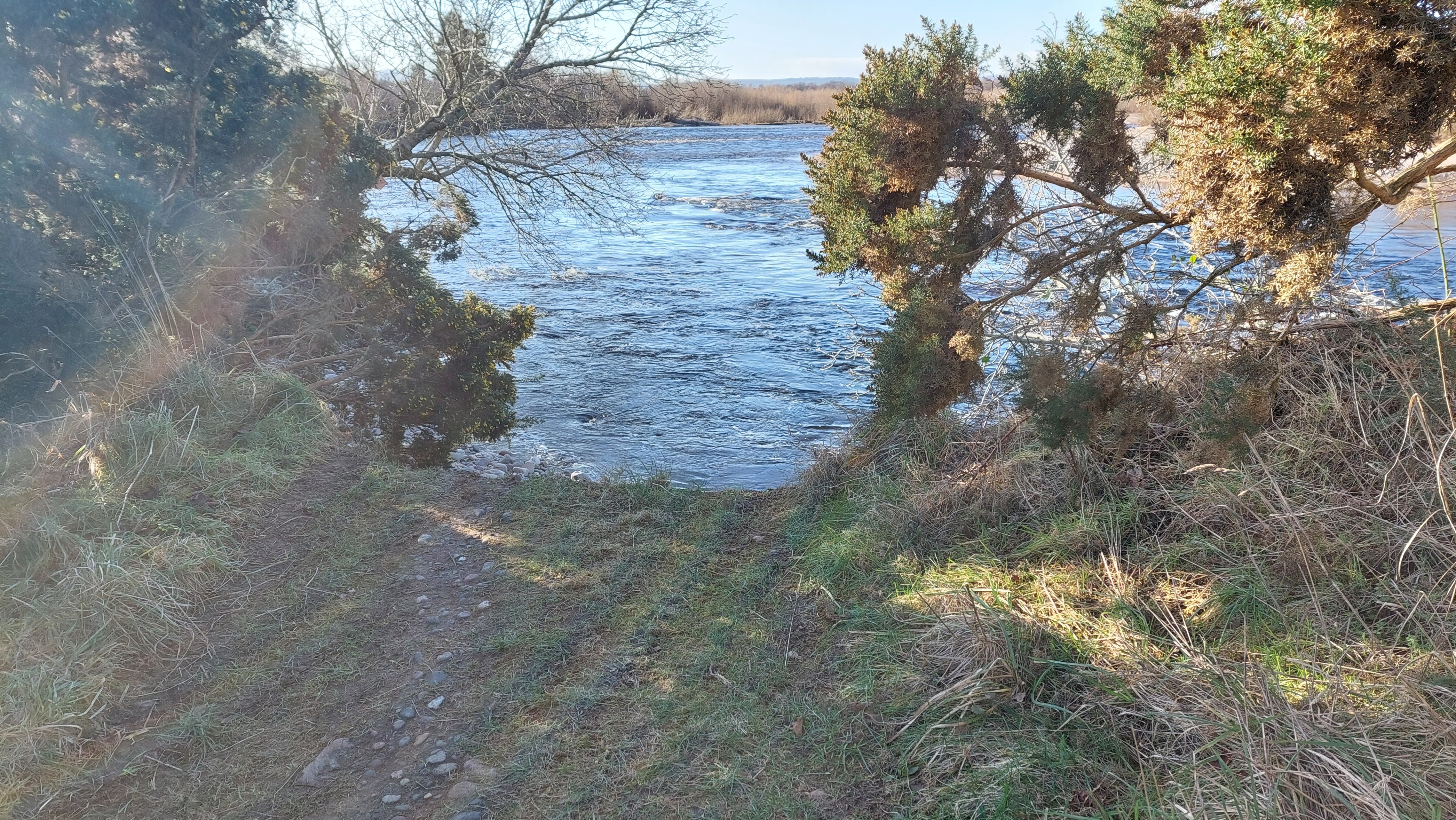 20240213_105518.jpg 20240213_105518.jpg