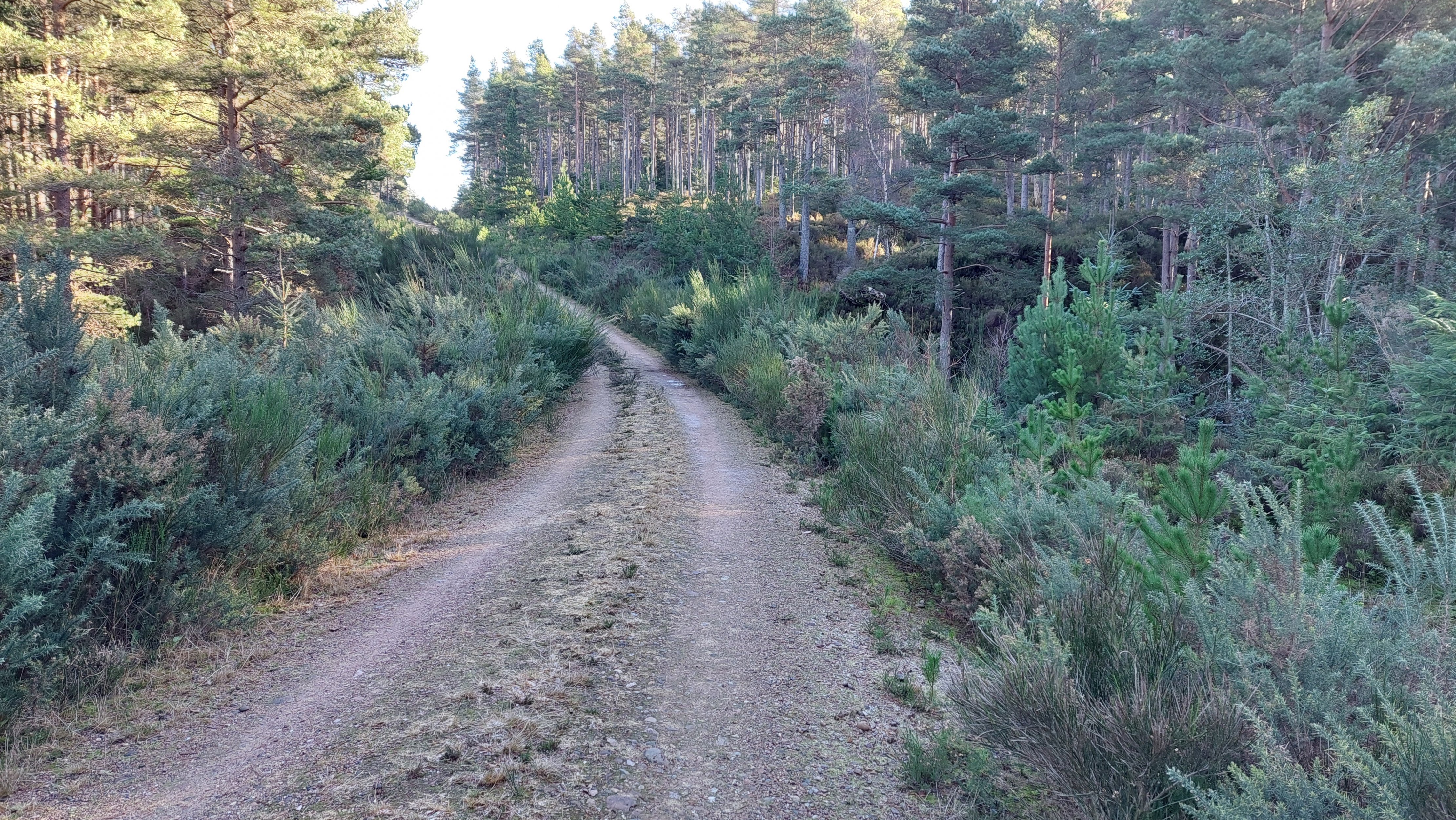 20240213_114809.jpg 20240213_114809.jpg