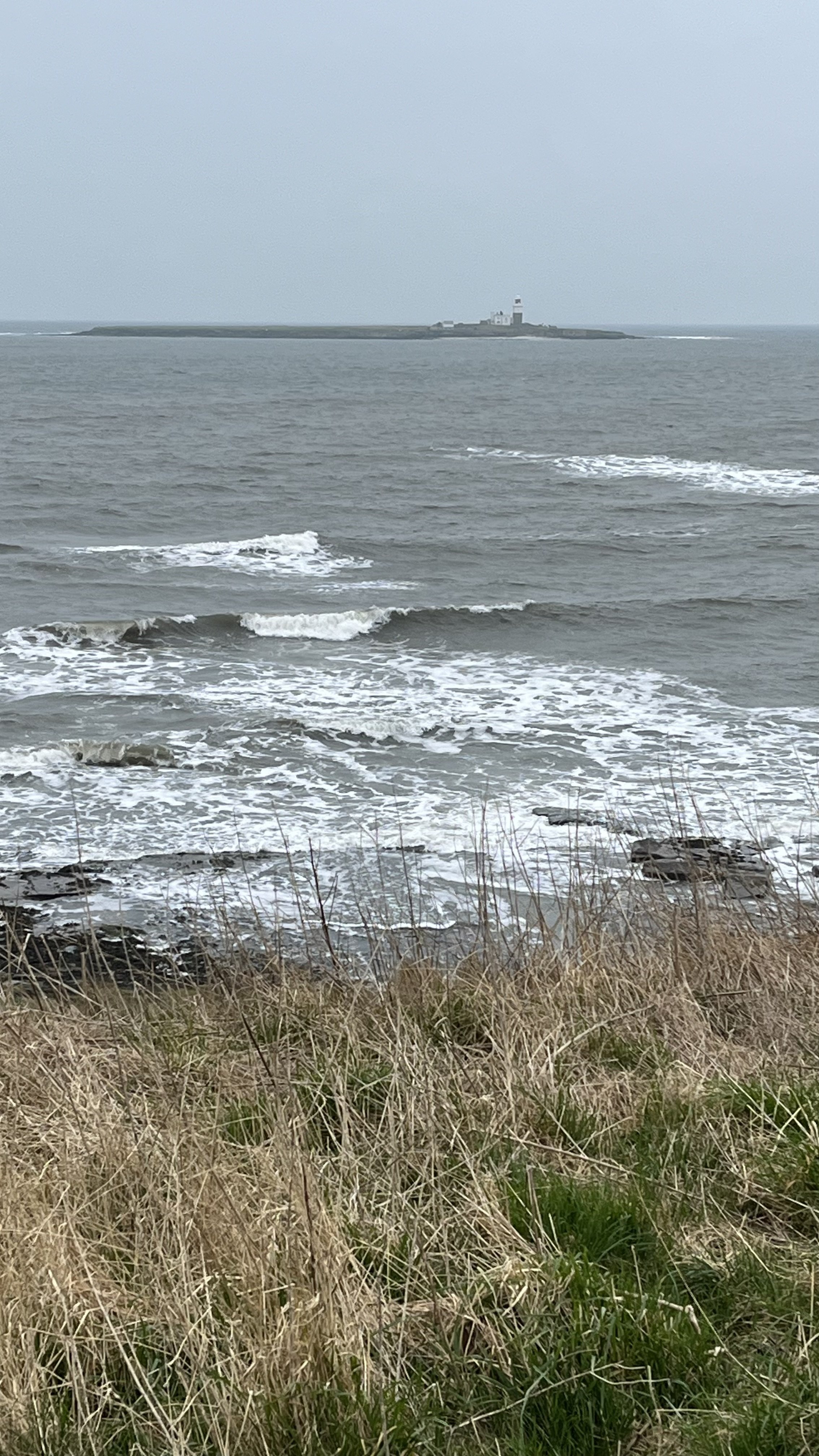 IMG_7360.jpeg