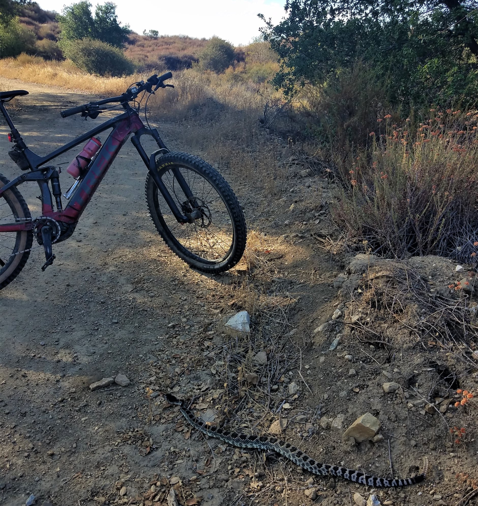trekrail7rattlesnake.jpg