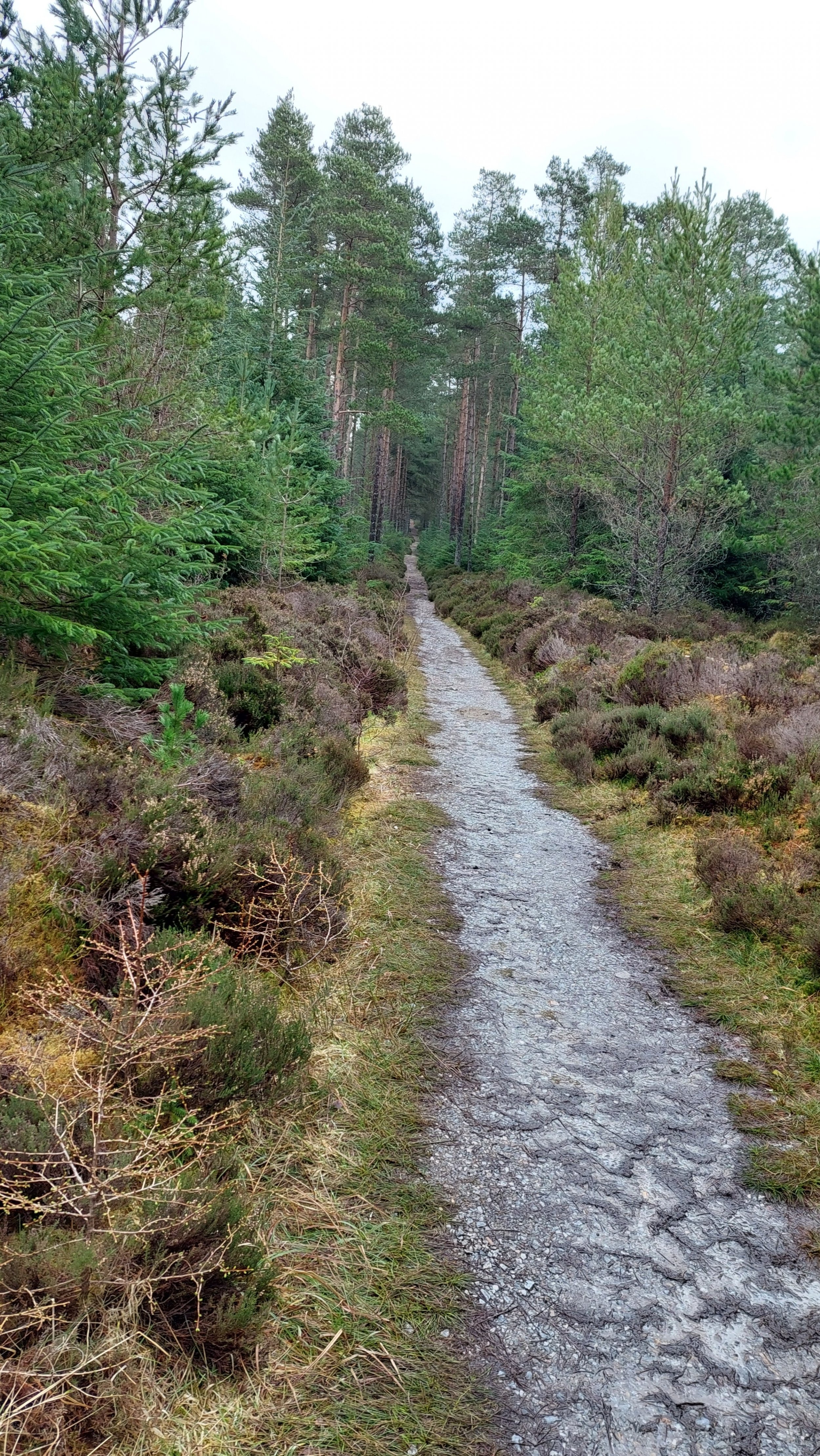 20240328_115710.jpg