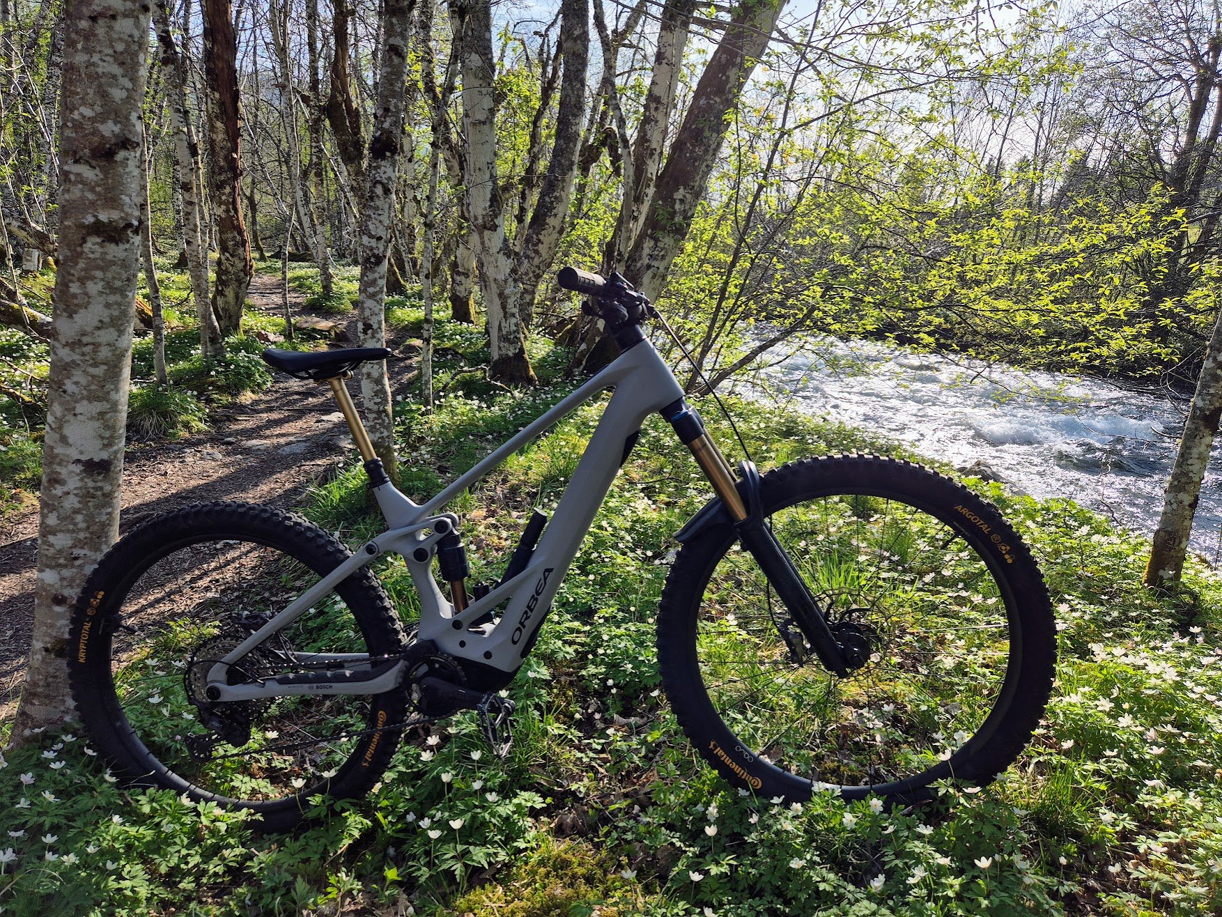 Orbea Wild 2023.jpg Orbea Wild 2023.jpg