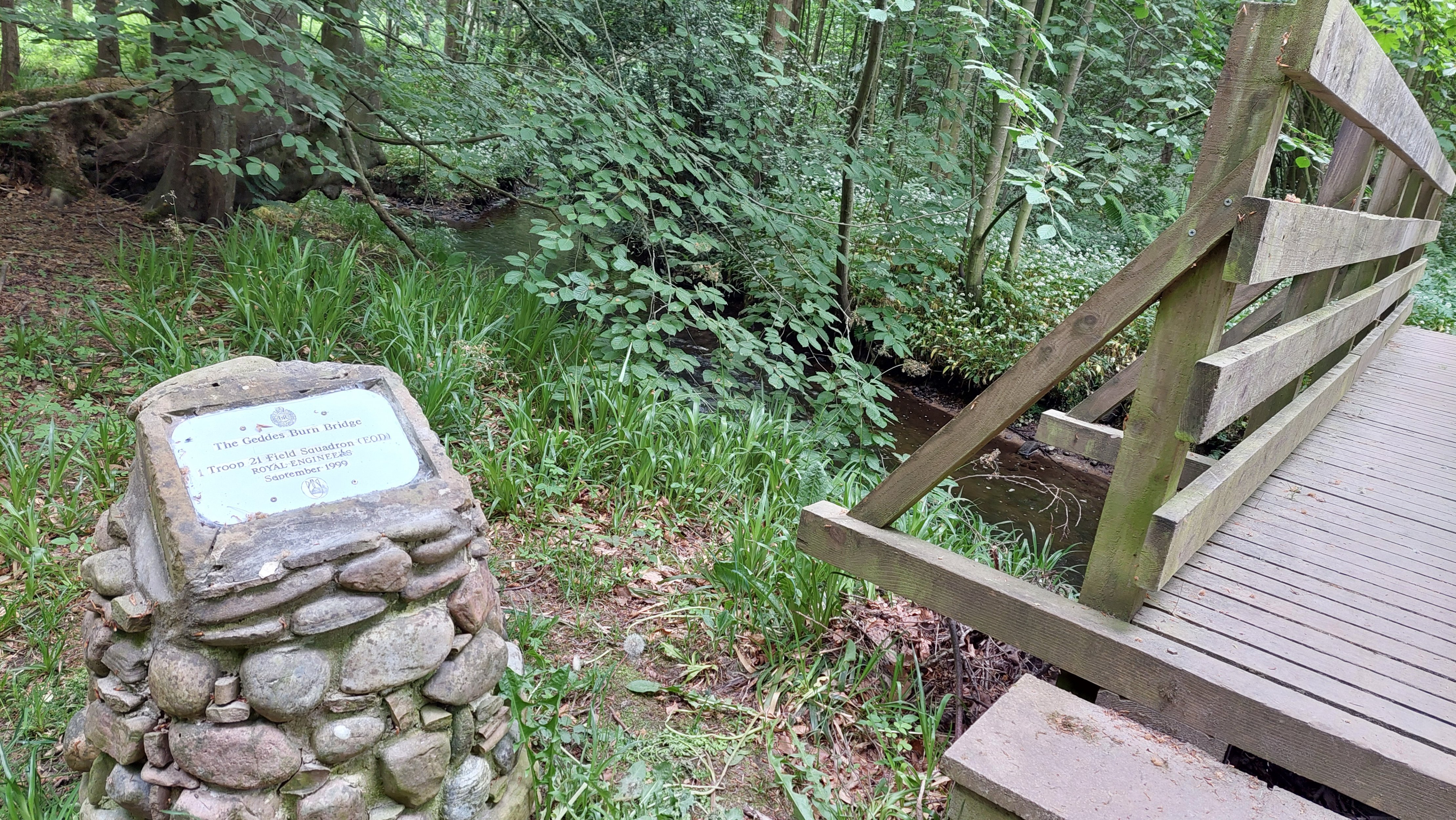 20240521_131439.jpg