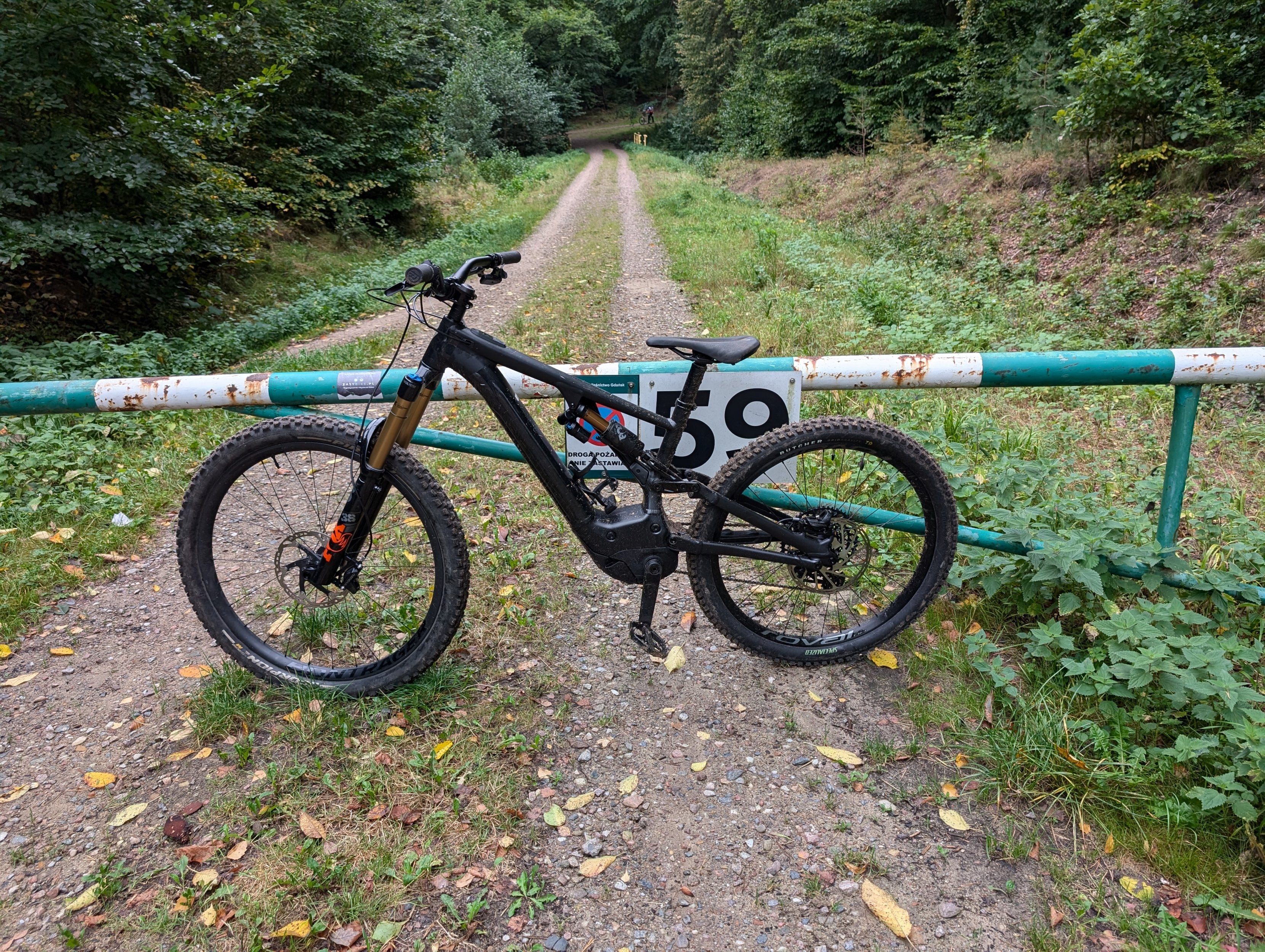 PXL_20240914_083452878.jpg PXL_20240914_083452878.jpg