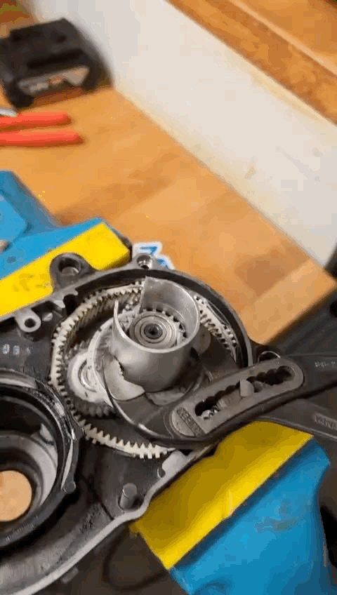 WhatsApp GIF 2024-09-27 at 07.43.18.gif WhatsApp GIF 2024-09-27 at 07.43.18.gif