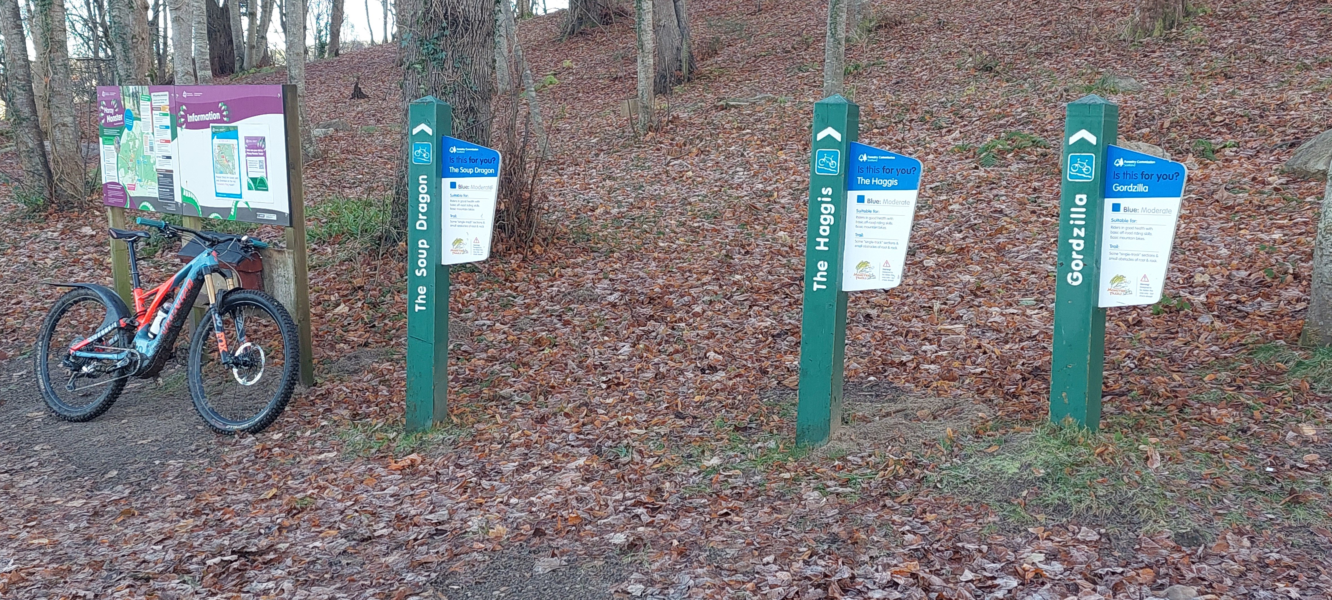 20241128_123649.jpg 20241128_123649.jpg