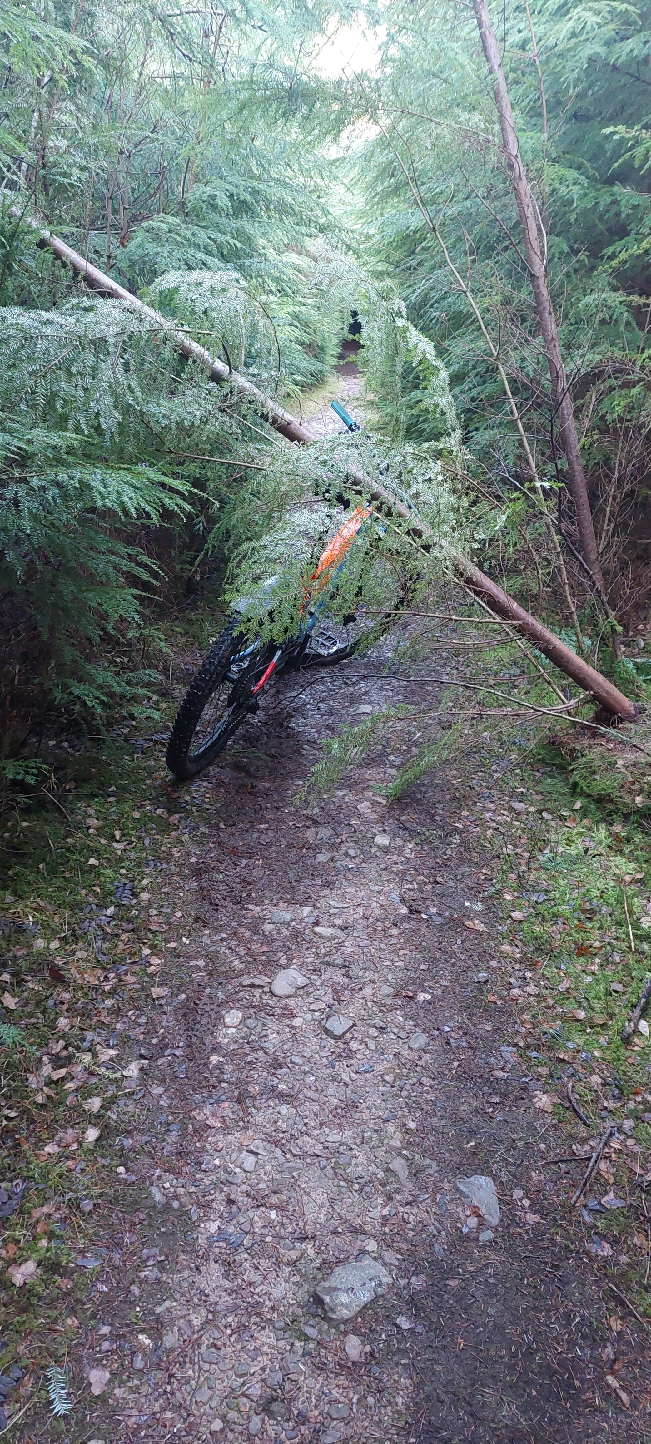 20241128_124500.jpg 20241128_124500.jpg