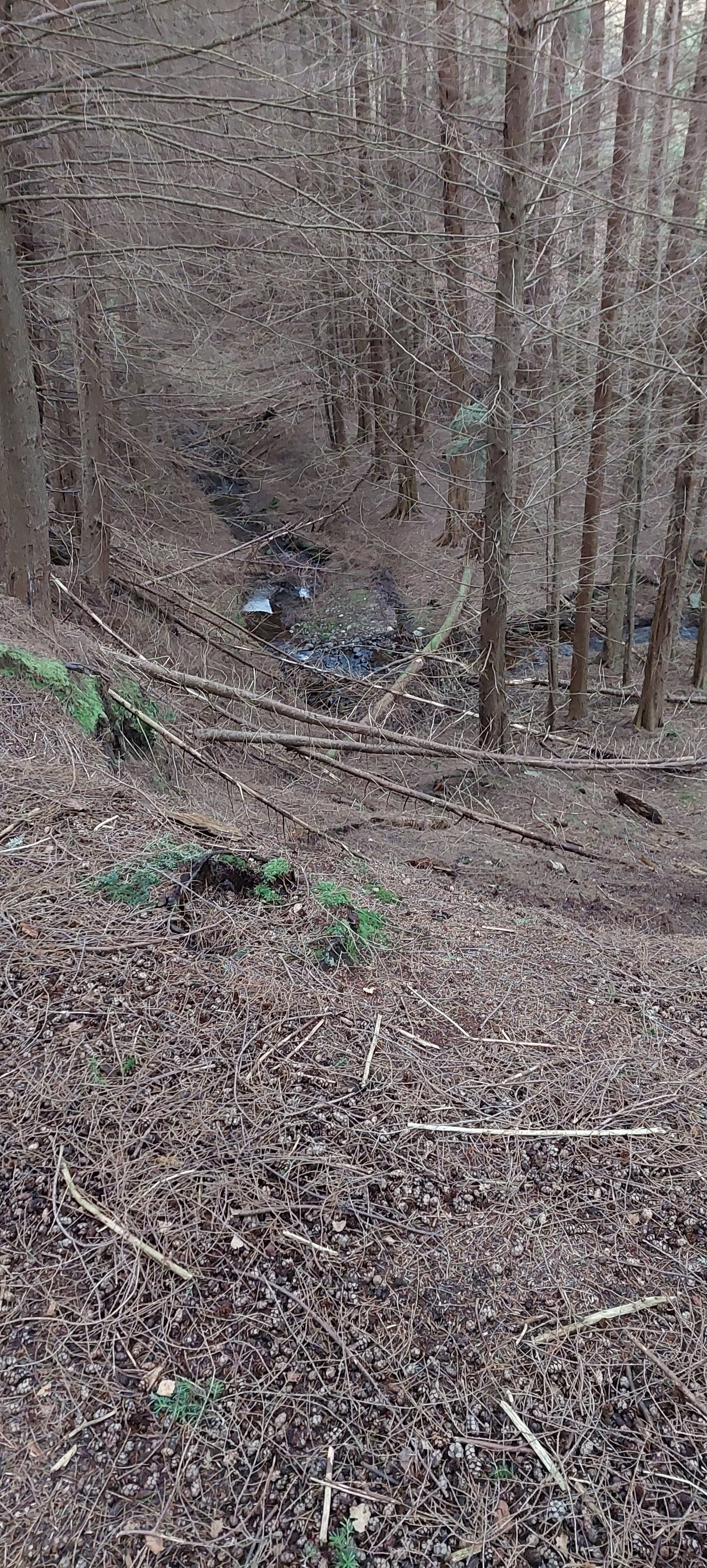 20241206_125240.jpg 20241206_125240.jpg
